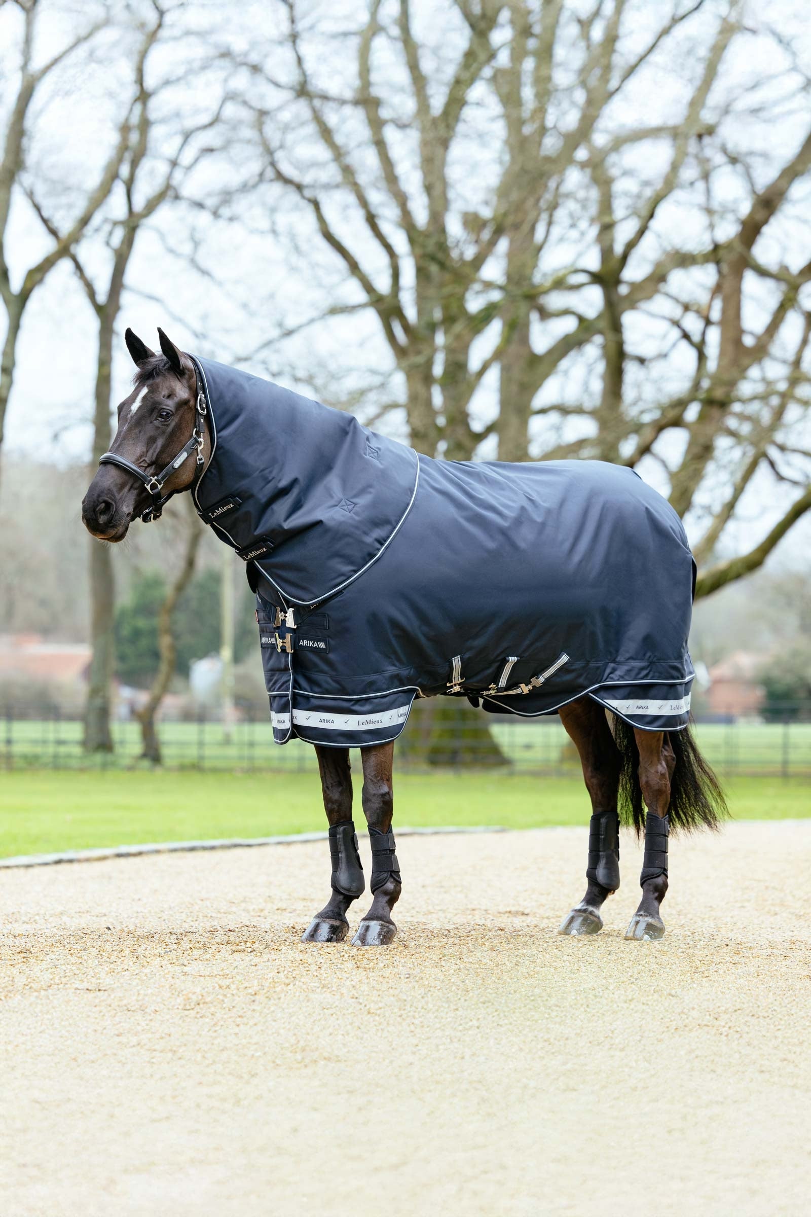 LeMieux Arika Storm-Tek výběhová deka s odepínacím krčním dílem, 100 g Horse Rugs