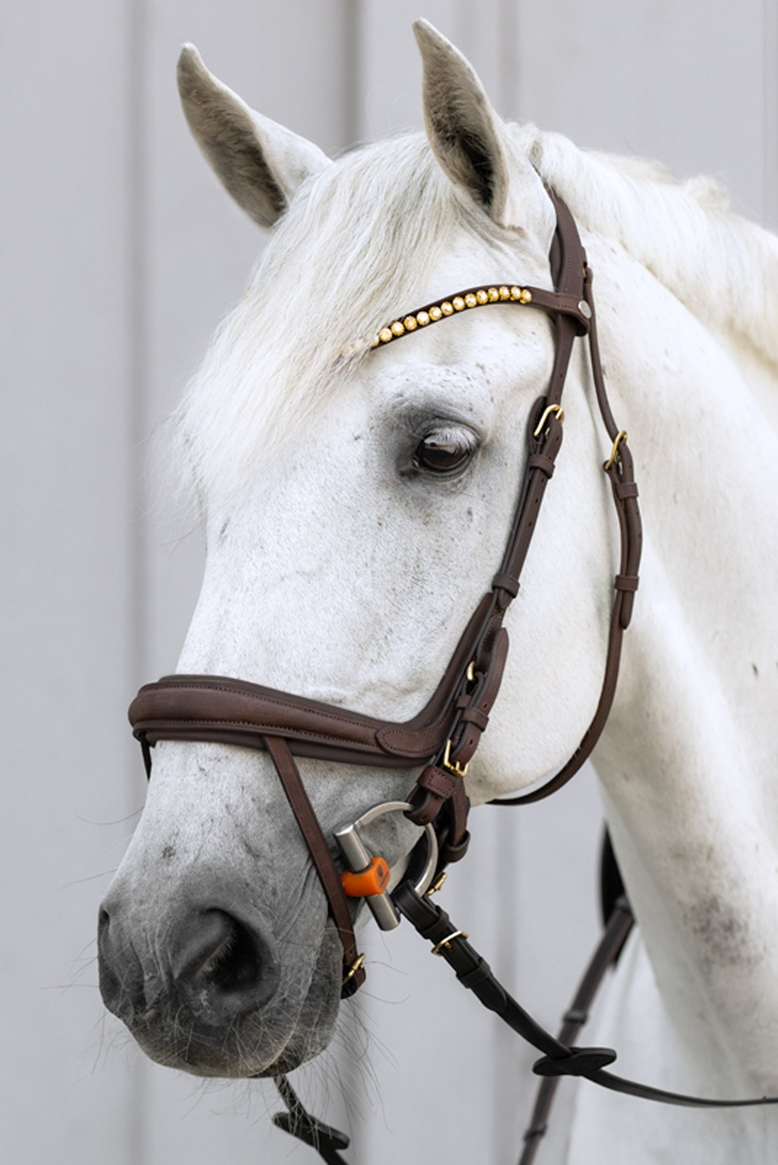 Kavalkade Caliano Anglická Uzda Bridles & Reins
