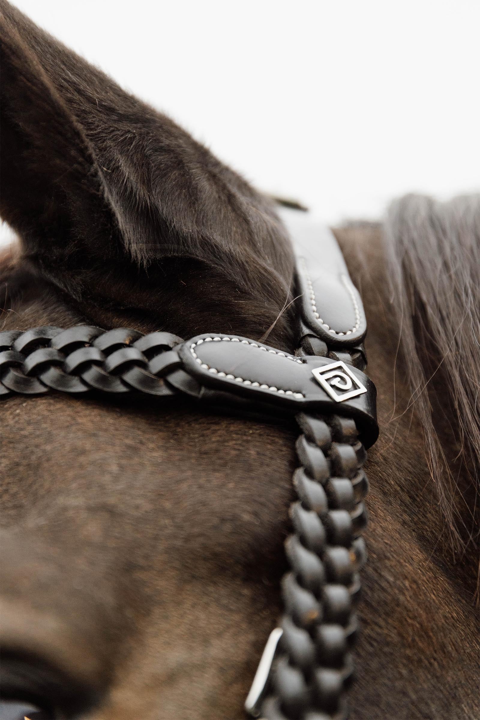 Dy'on Working Plaited Training Bridle  Bridles & Reins