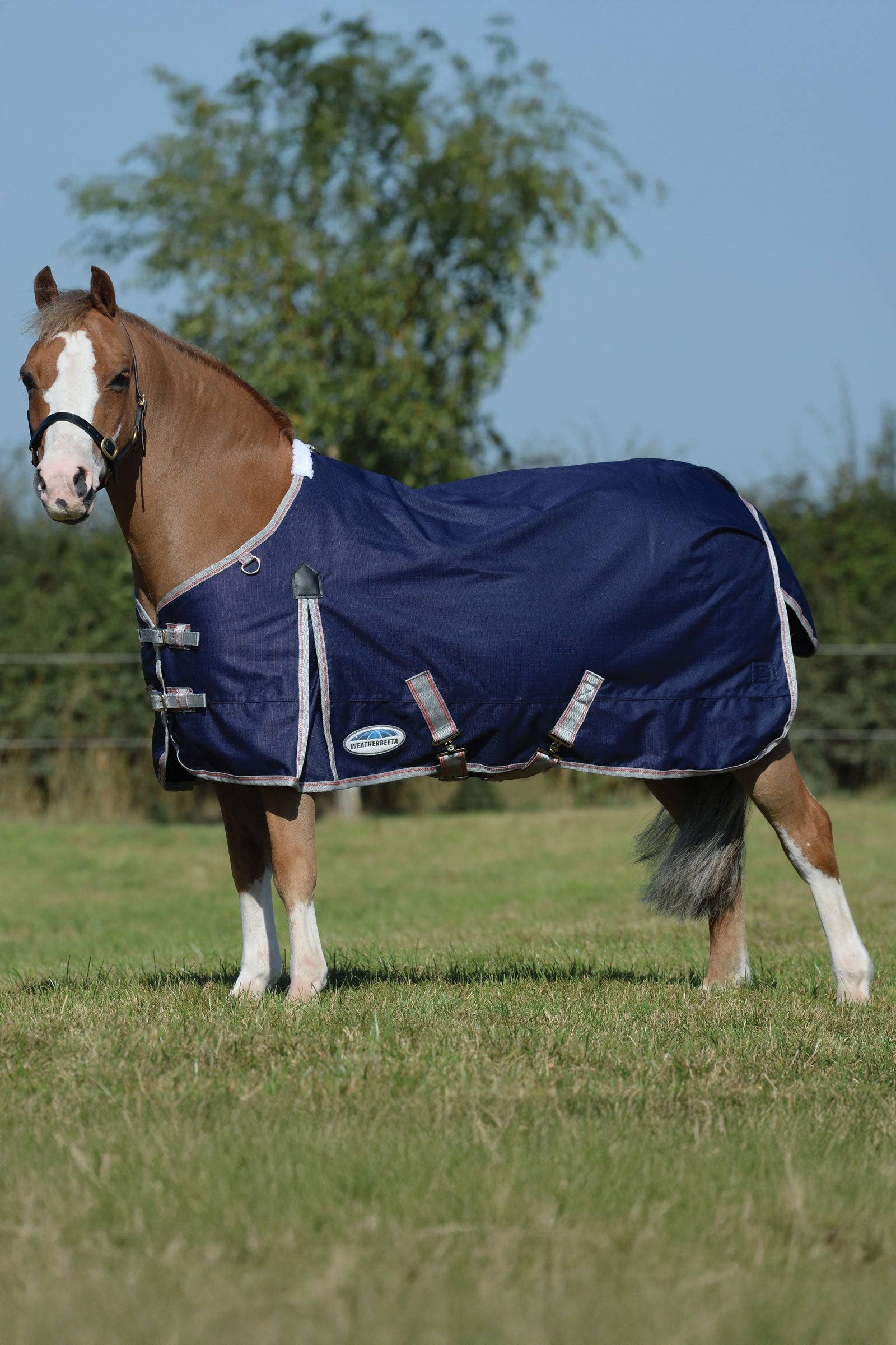 Weatherbeeta Comfitec Essential Plus výběhová deka, 50g Horse Rugs