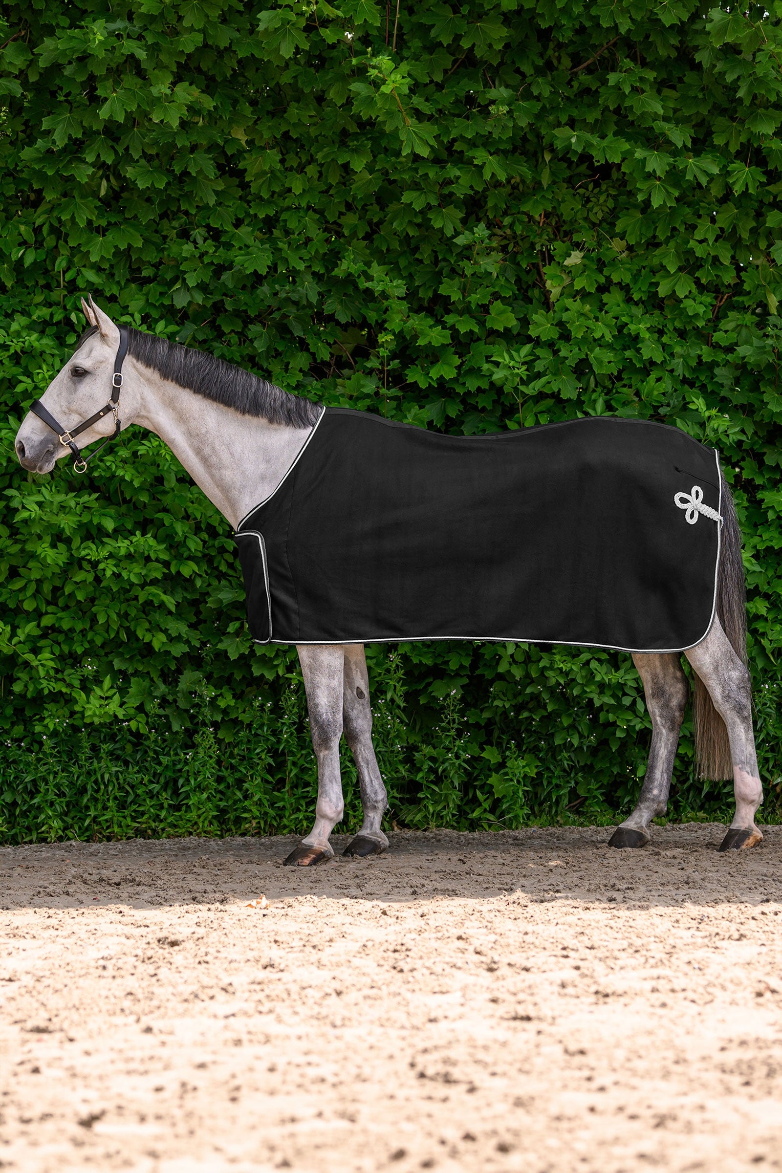 Waldhausen ECONOMIC fleecová reklamní deka Horse Rugs