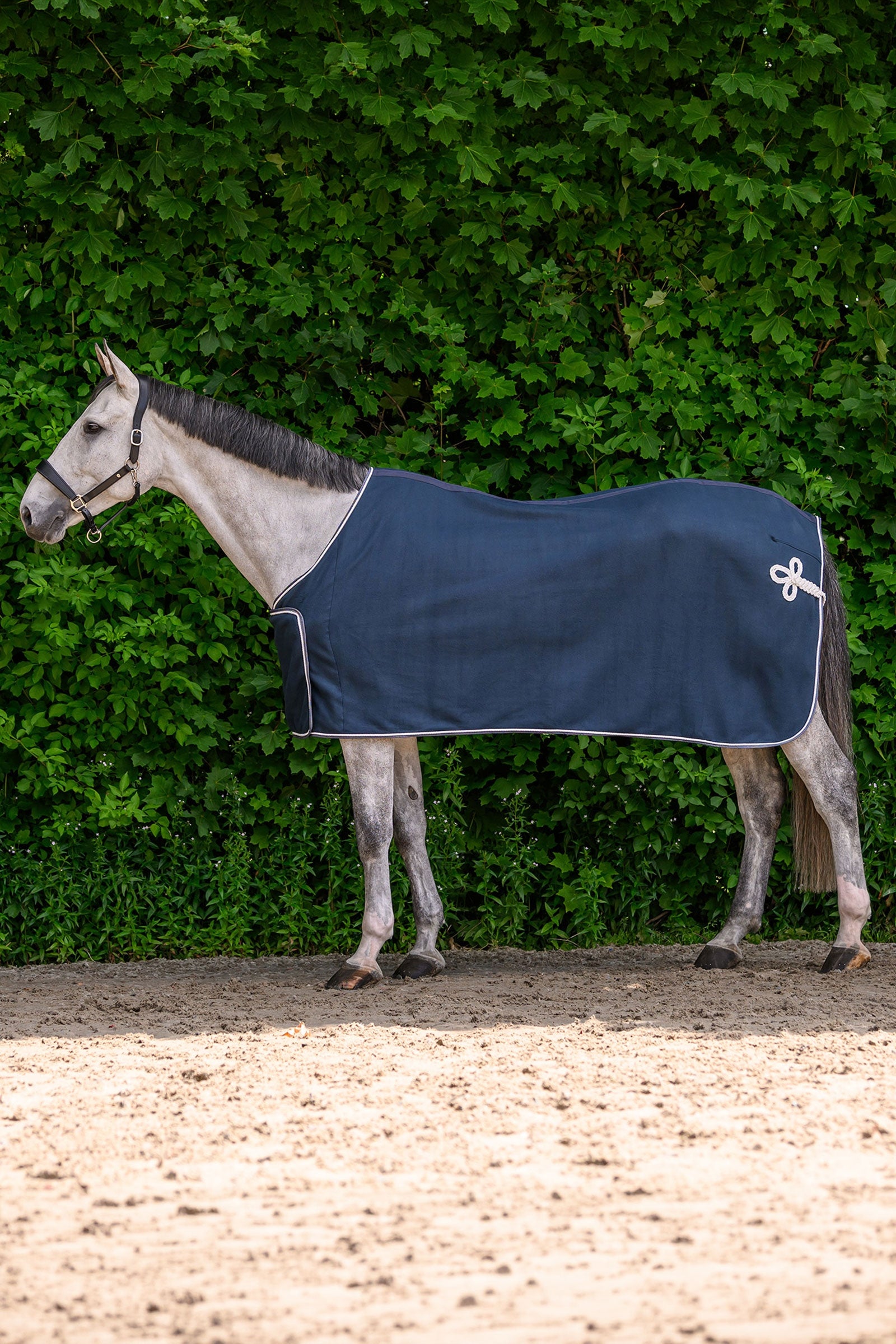 Waldhausen ECONOMIC fleecová reklamní deka Horse Rugs