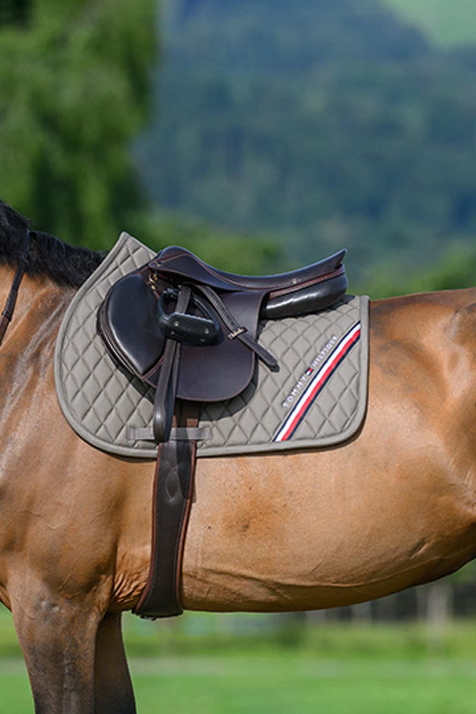 Tommy Hilfiger Equestrian Stanford skoková podsedlová dečka Saddle Pads