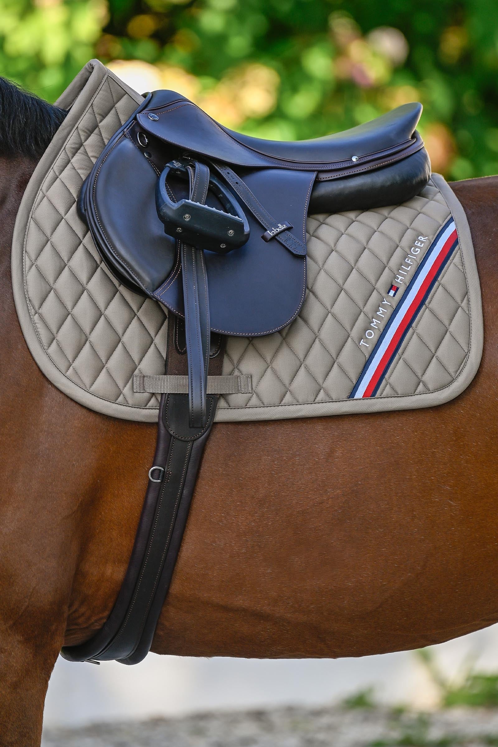 Tommy Hilfiger Equestrian Stanford Jumping Saddlepad Saddle Pads