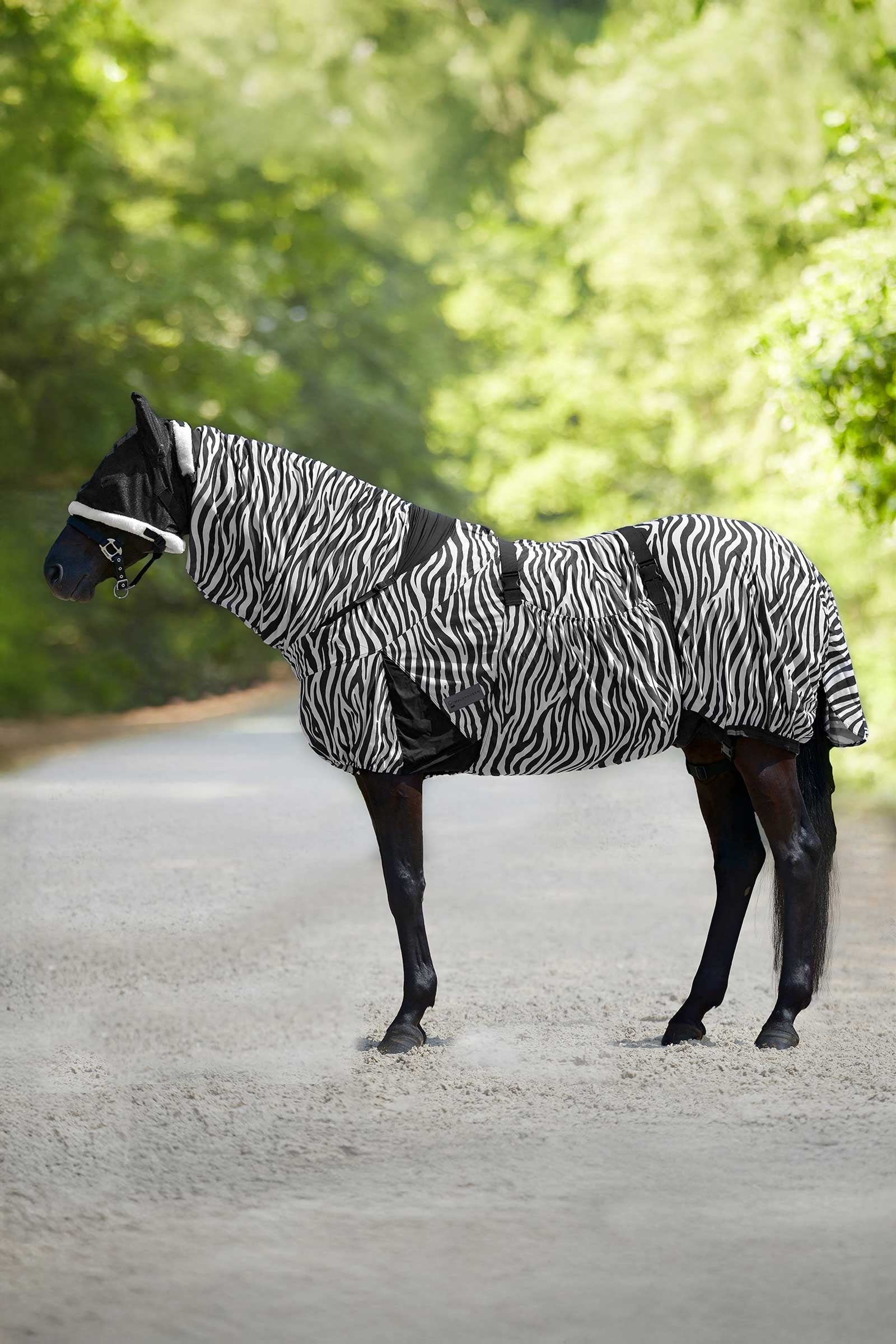 Waldhausen Zebra deka proti ekzému Horse Rugs