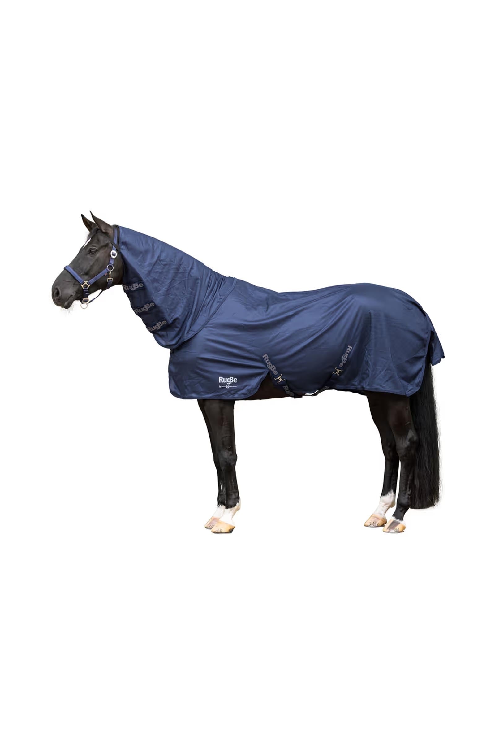Covalliero RugBe Superfly Fly Rug Horse Rugs