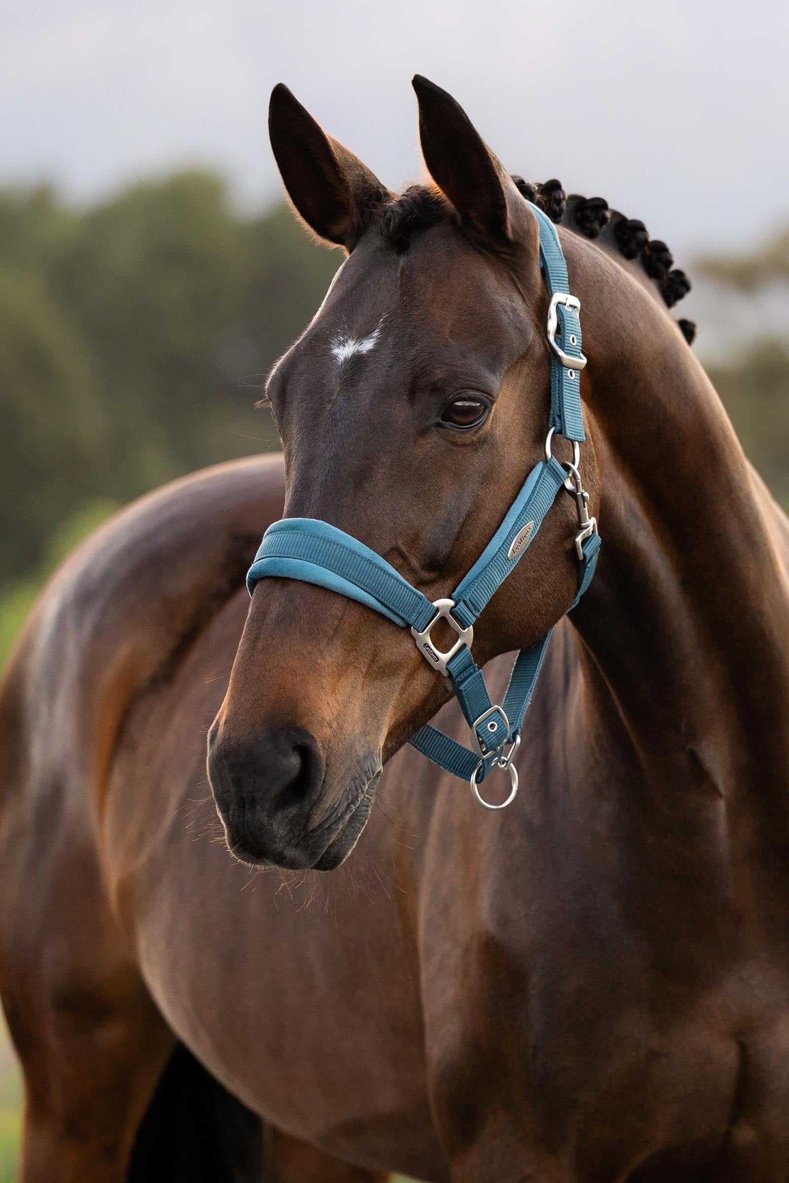 Lifestyle shot 2