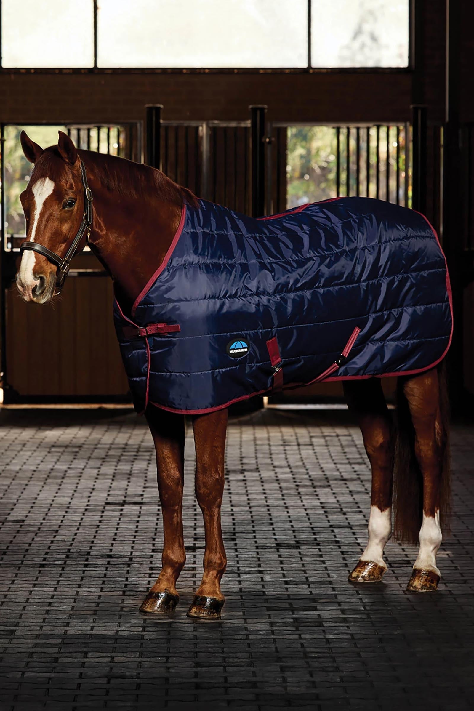 Weatherbeeta Stable Rug 220g Horse Rugs