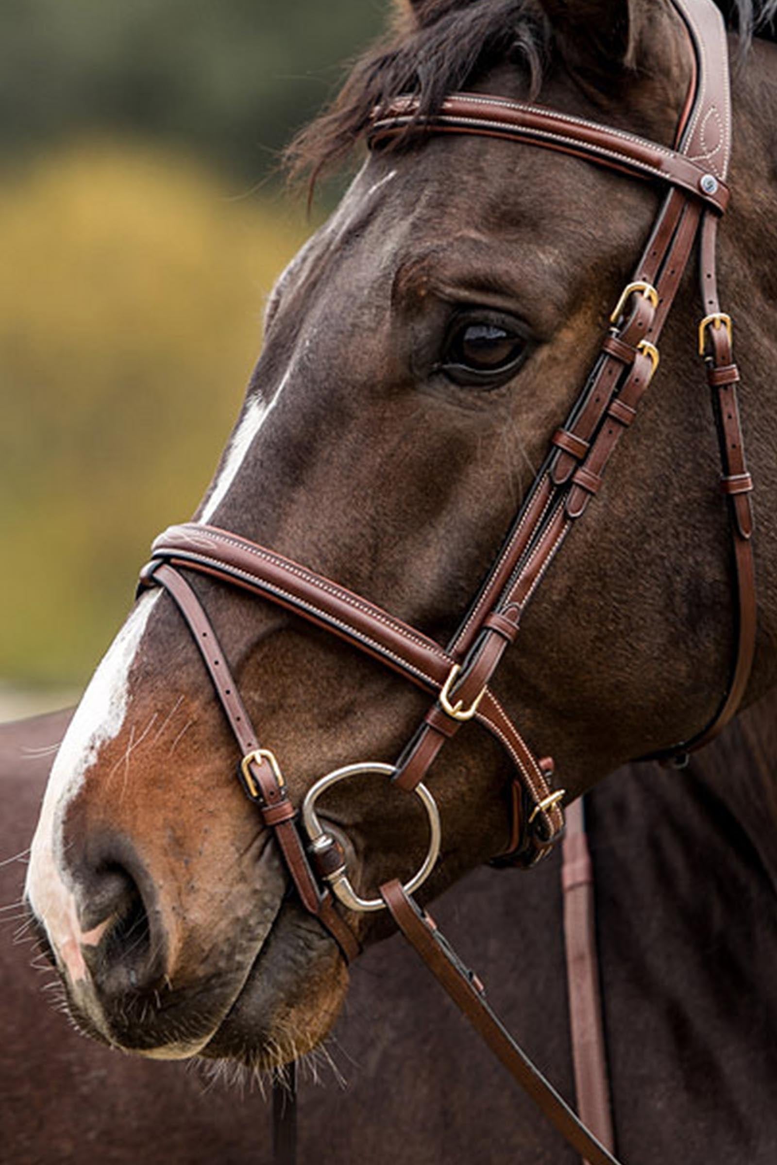 Trust Equestrian Knokke Combine Noseband Bridle Classic Bridles & Reins