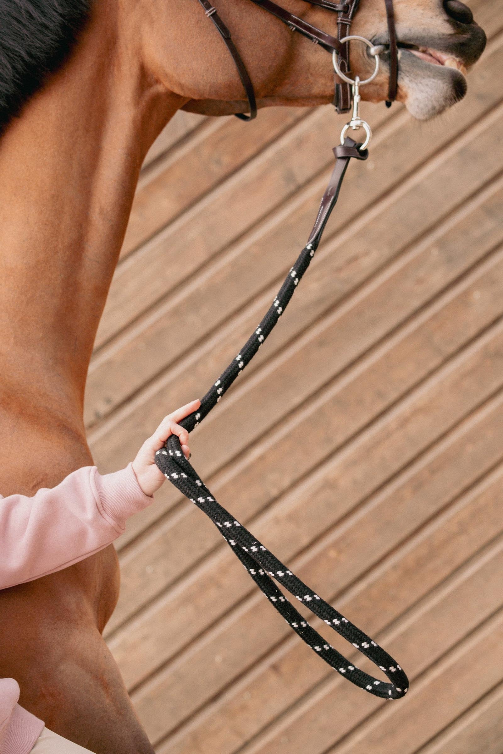PENELOPE Ethological Lead Rope (3,5 m) Halters & Leads