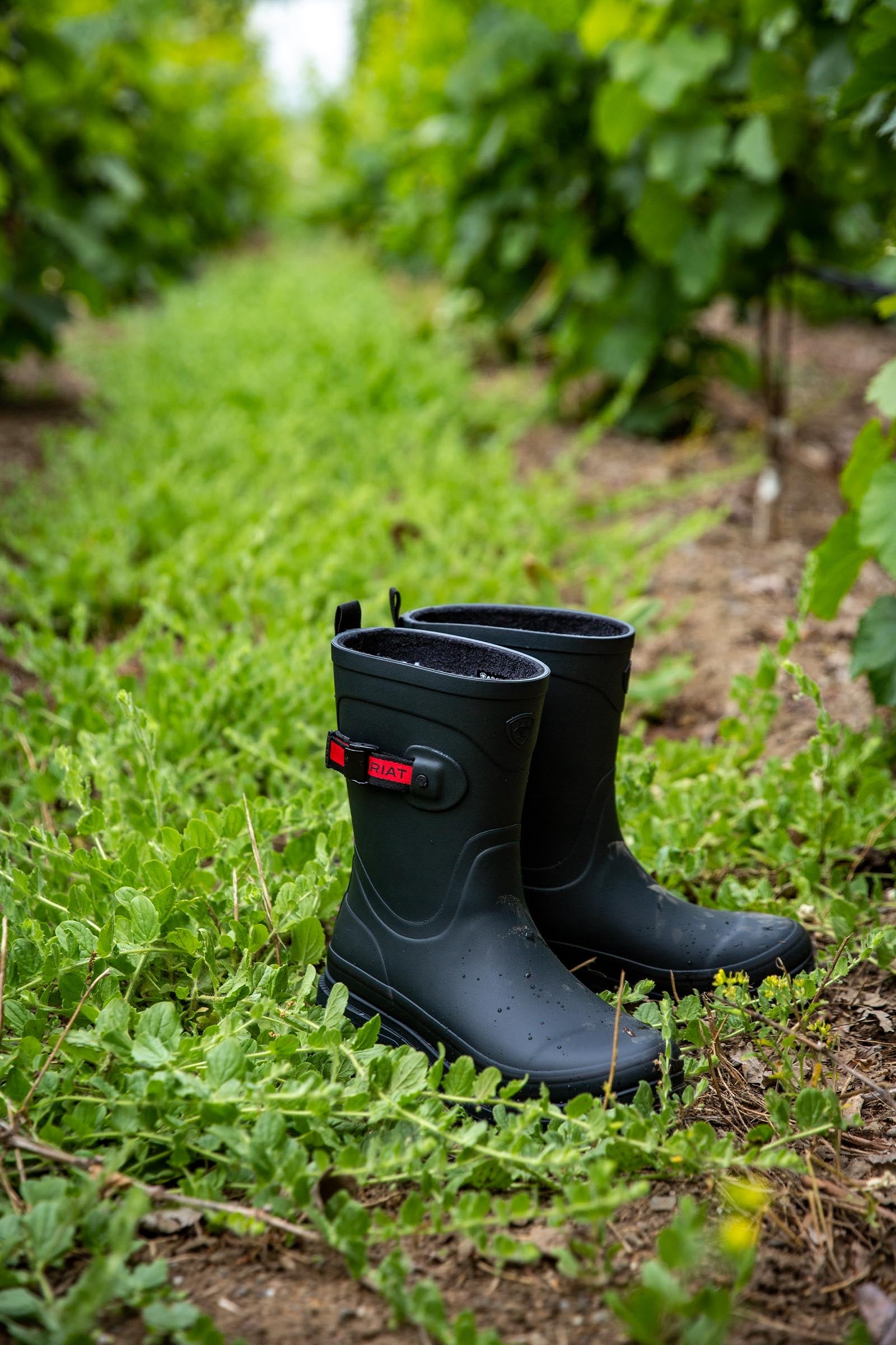 Ariat Kelmarsh Mid Women's Rubber Boots Riding Boots & Riding Shoes