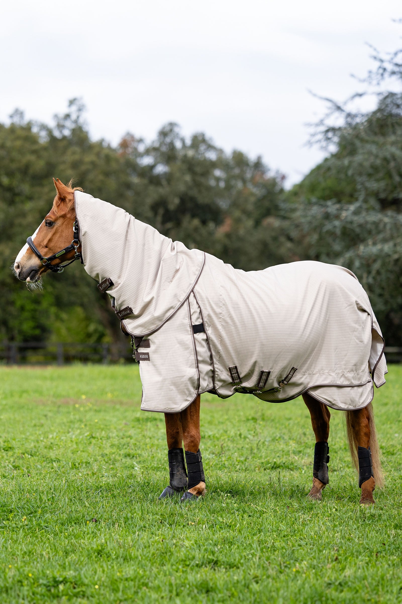 LeMieux Kudos pastevní deka Horse Rugs