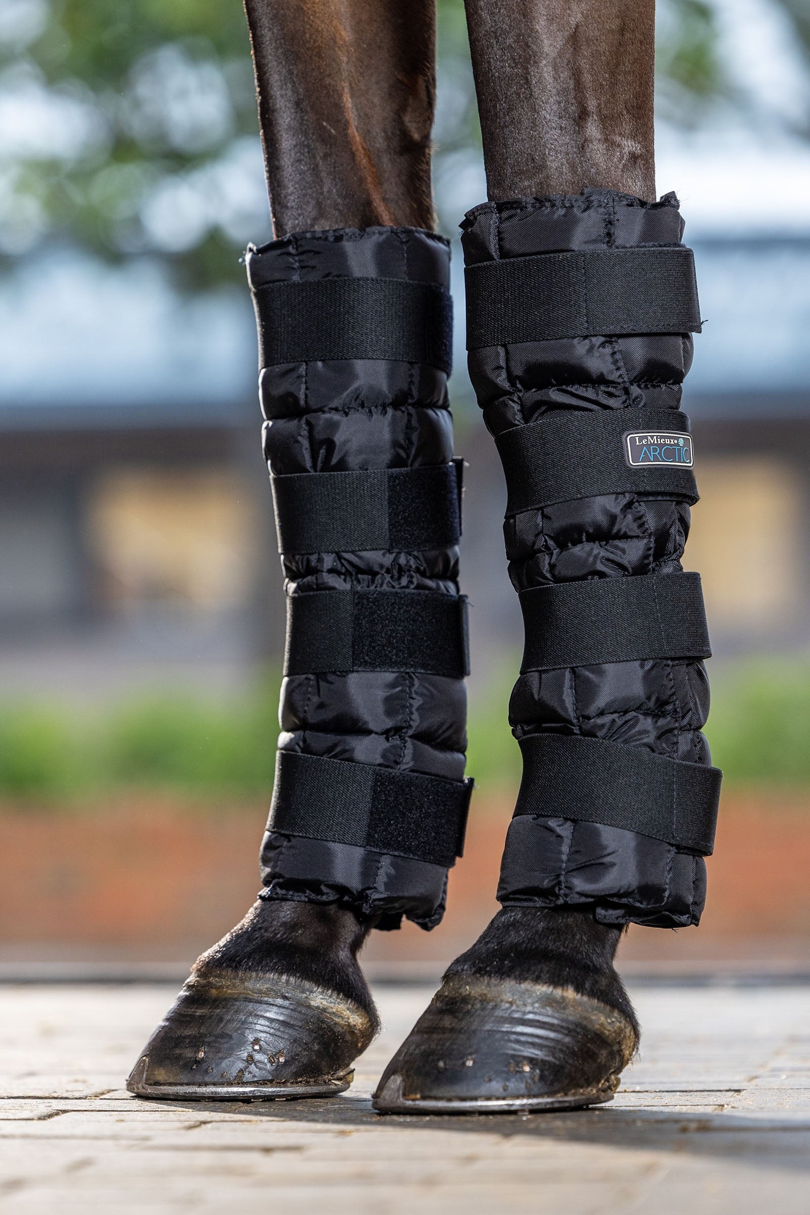 LeMieux Arctic Ice Boot (Pair) Leg & Hoof Protection