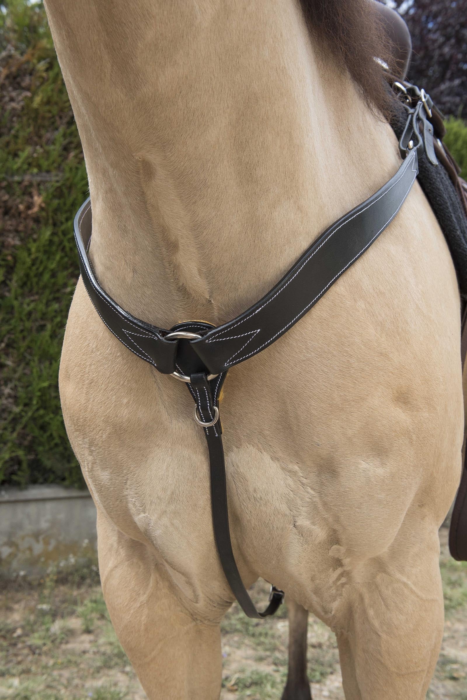 WESTRIDE Prošívaný westernový přední poprsák Bridles & Reins