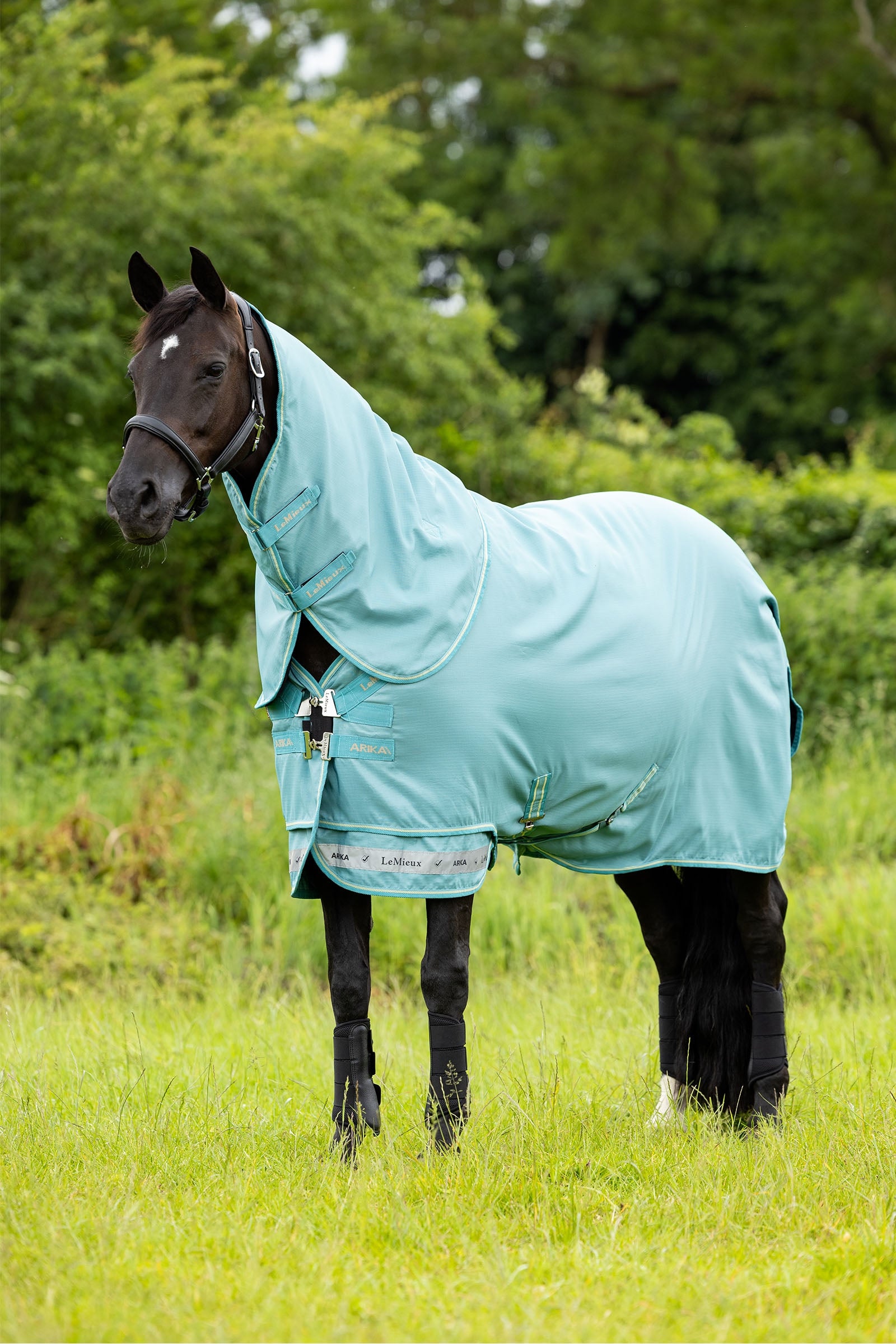 LeMieux Arika 600D Výběhové deky s odepínacím krkem, 0g Horse Rugs