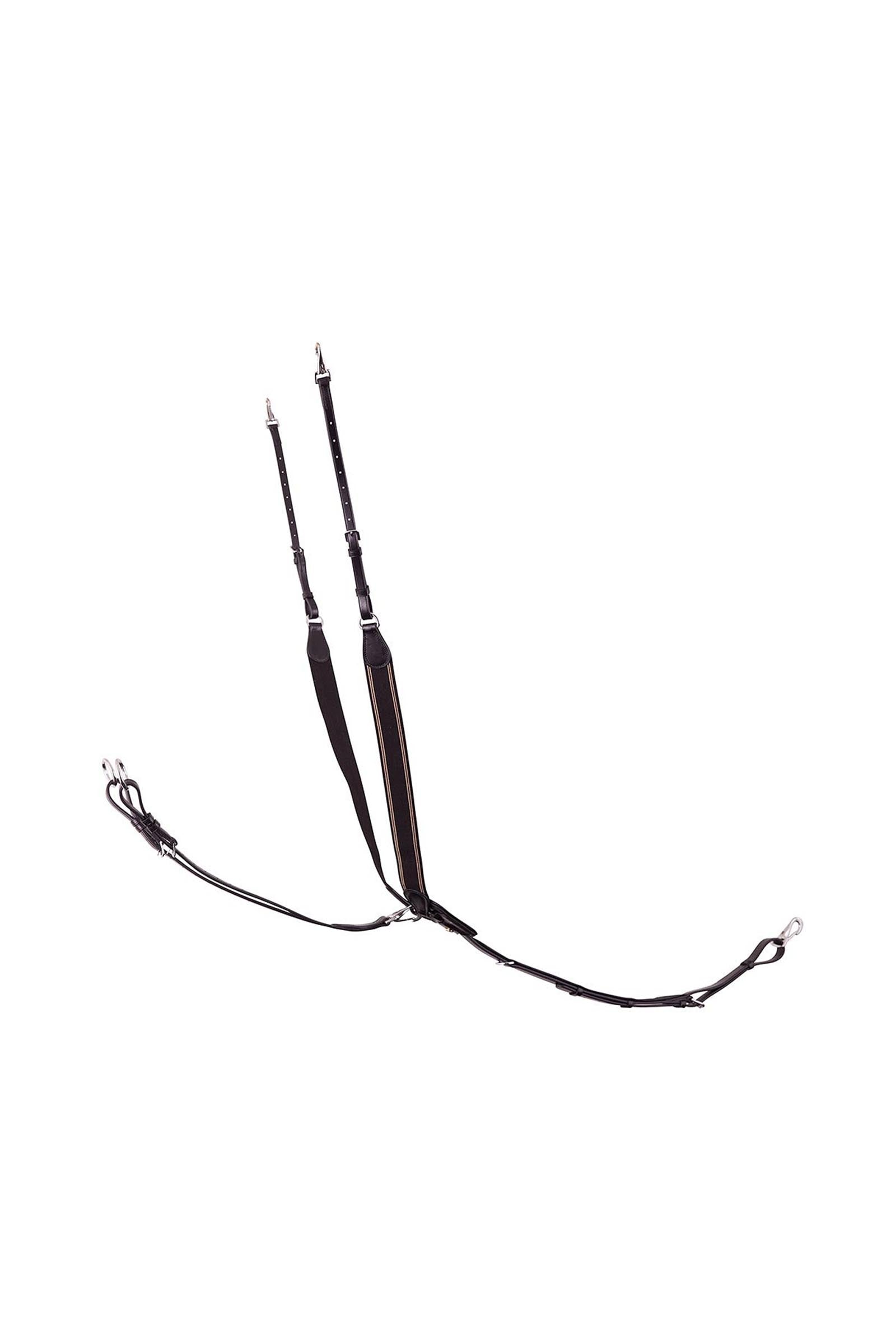 BR Taunton elastický přsní postroj s odnímatelným martingalem Bridles & Reins