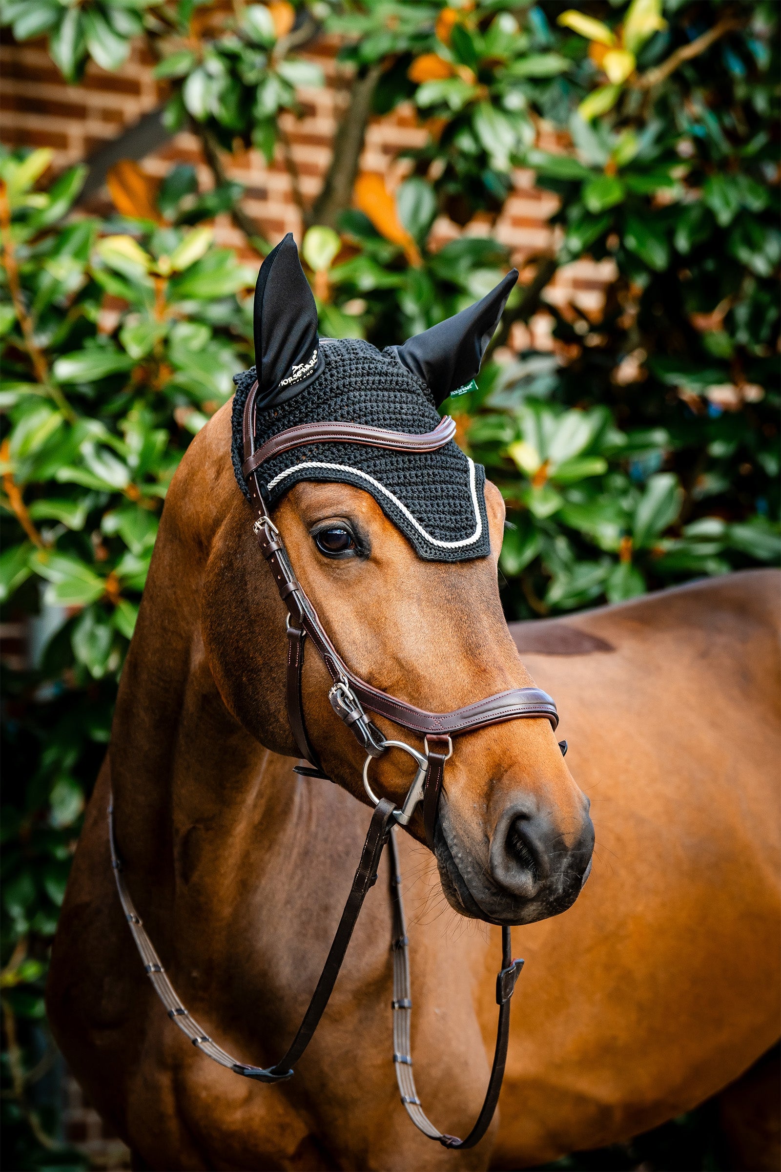 Horseware Signature mušková čepice Saddle Pads