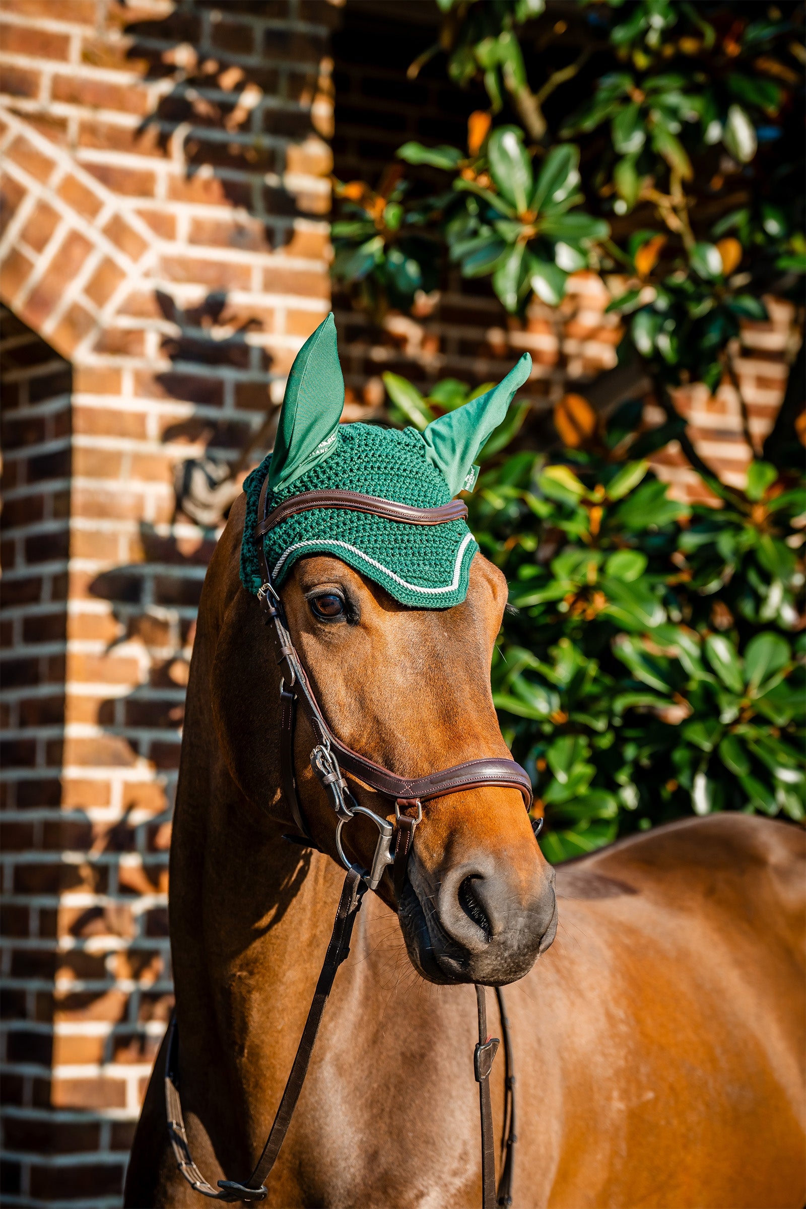 Horseware Signature mušková čepice Saddle Pads
