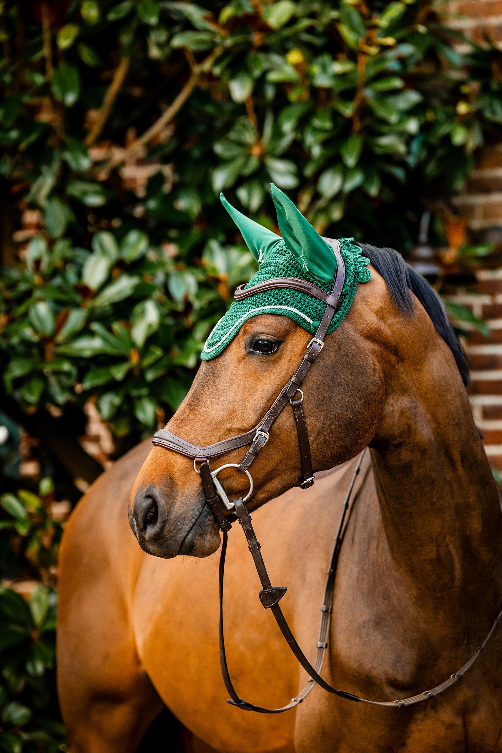 Horseware Signature Ear Net Saddle Pads