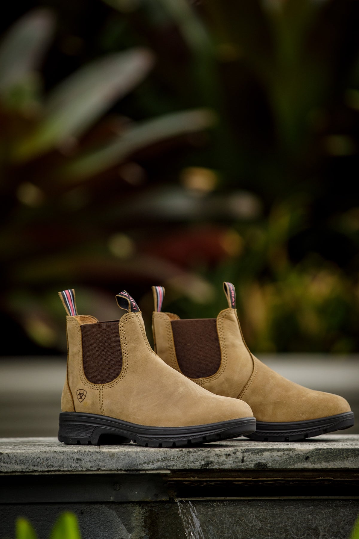 Ariat Women's Cooper Chelsea Boot Riding Boots & Riding Shoes