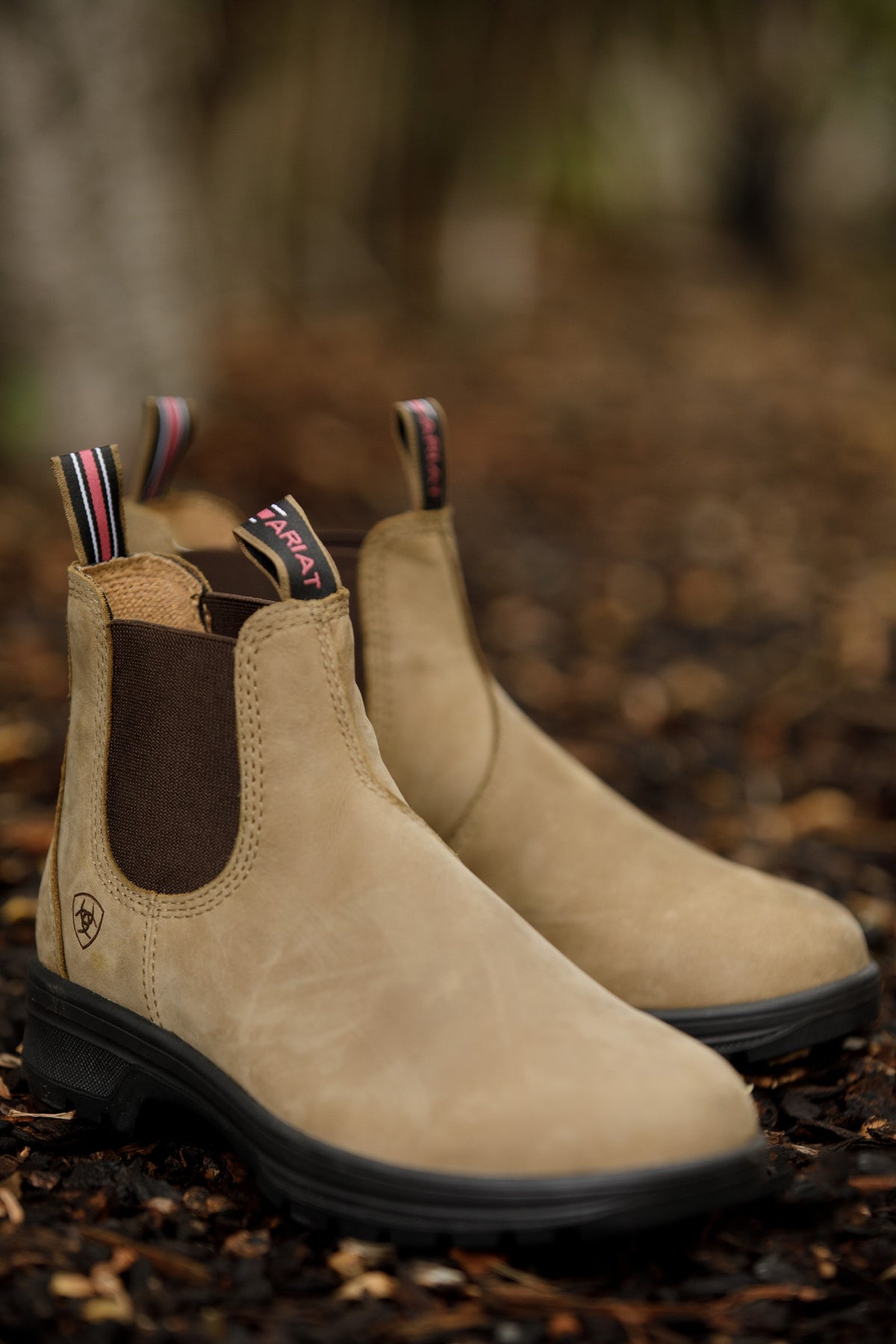 Ariat Women's Cooper Chelsea Boot Riding Boots & Riding Shoes