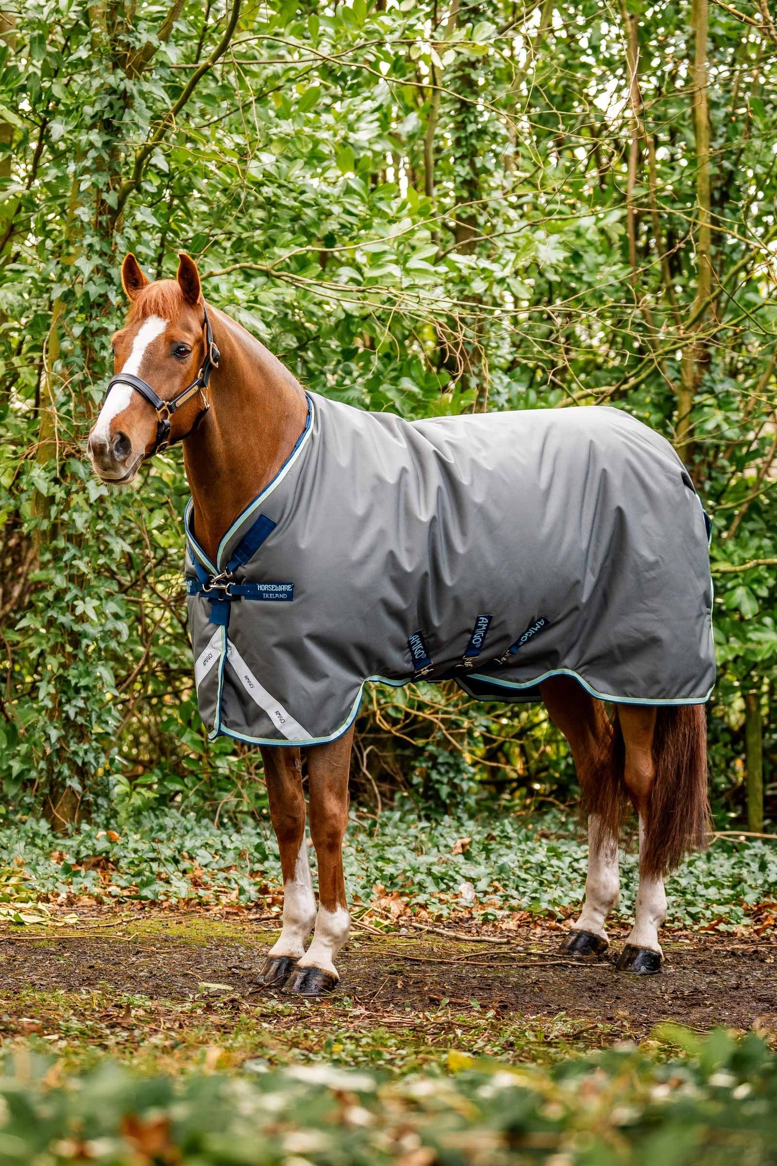 Horseware Amigo Bravo 12 Plus výběhová deka s odnímatelným krkem, 400g Horse Rugs