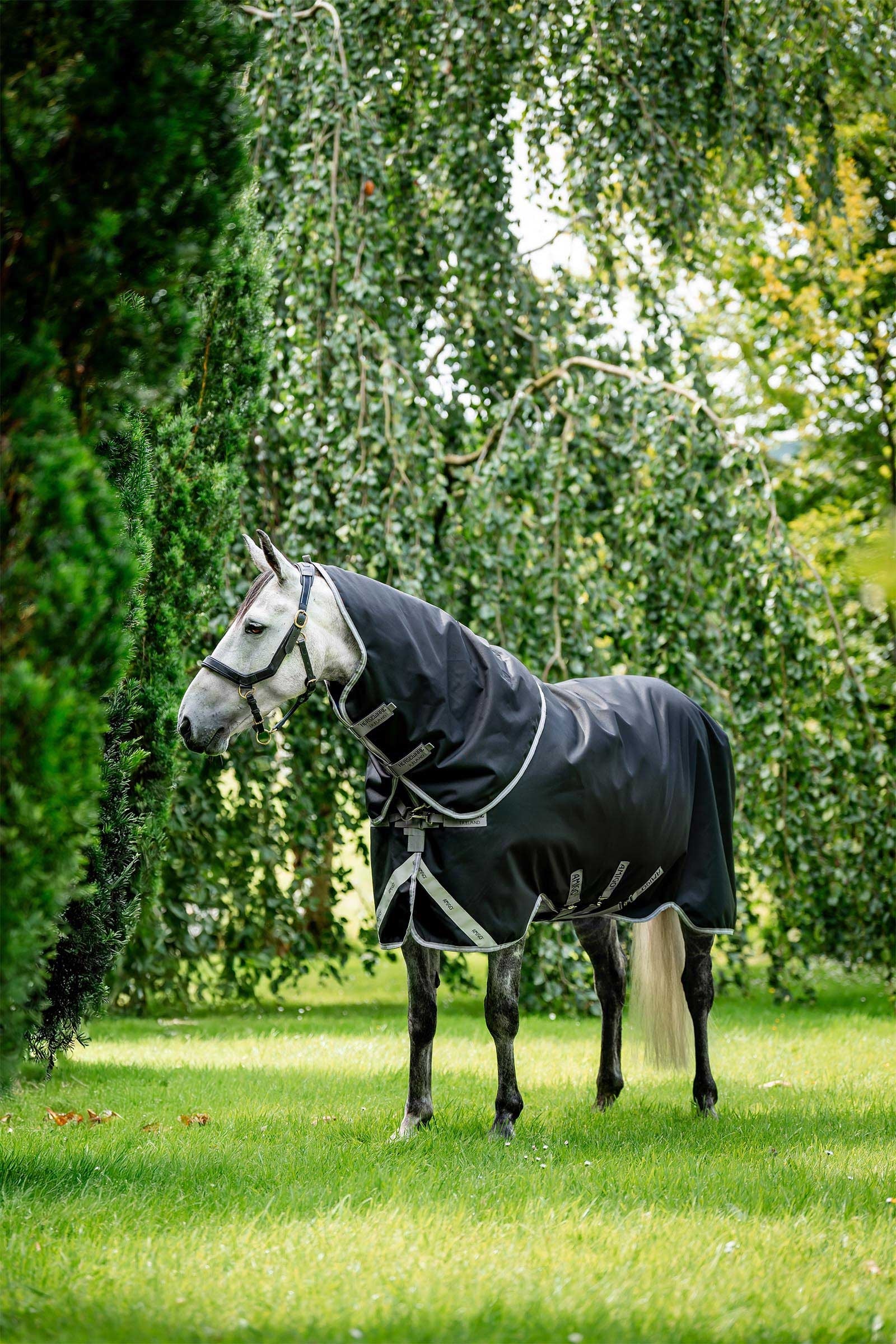 Horseware Amigo Bravo 12 Plus výběhová deka s odnímatelným krkem, 400g Horse Rugs