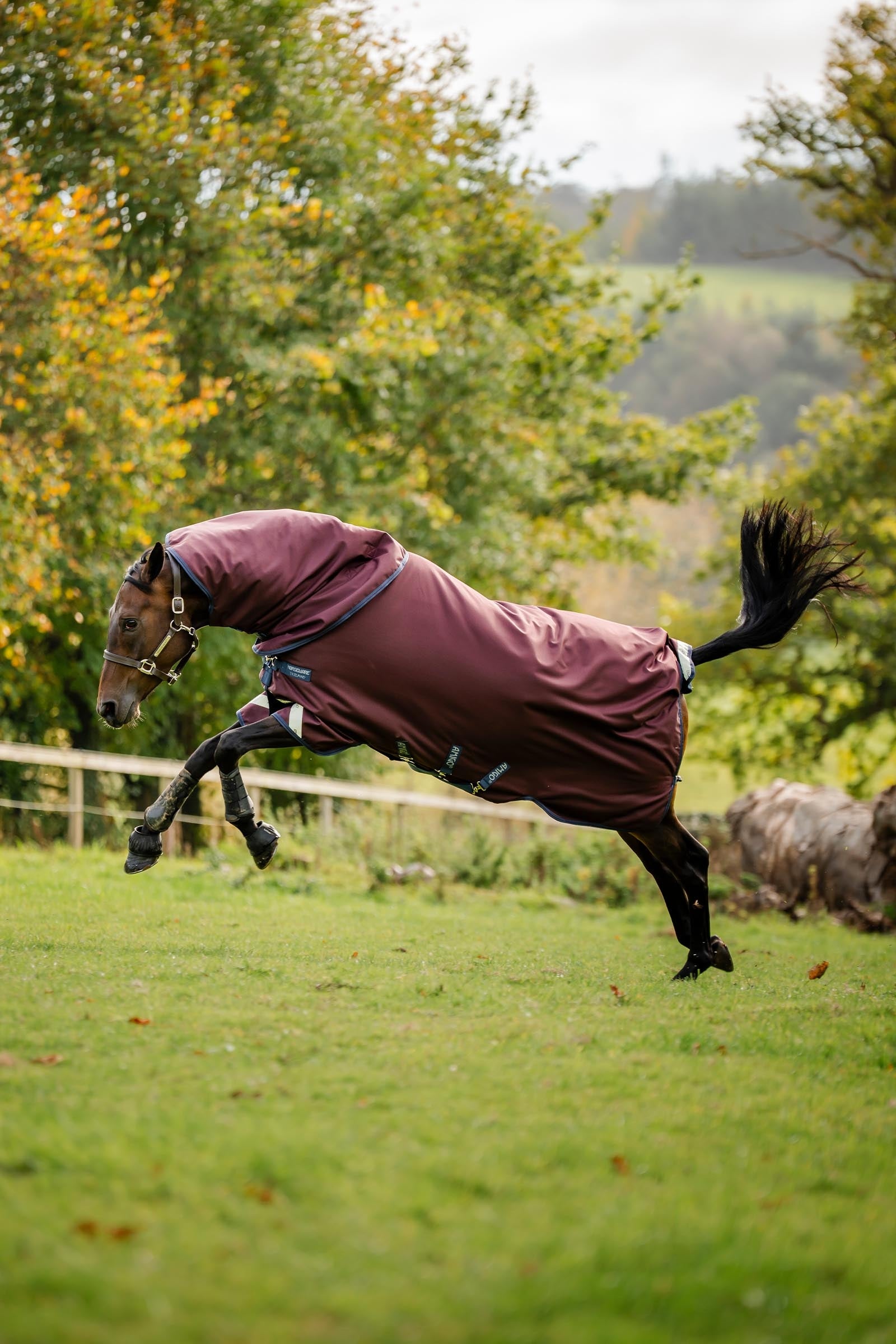 Horseware Amigo Bravo 12 Plus Turnout Rug With Detachable Neck, 400g Horse Rugs