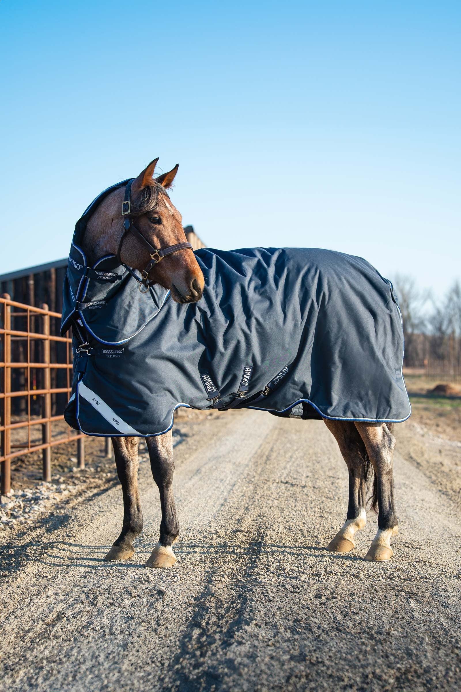 Horseware Amigo Bravo 12 Plus výběhová deka s odnímatelným krkem, 400g Horse Rugs