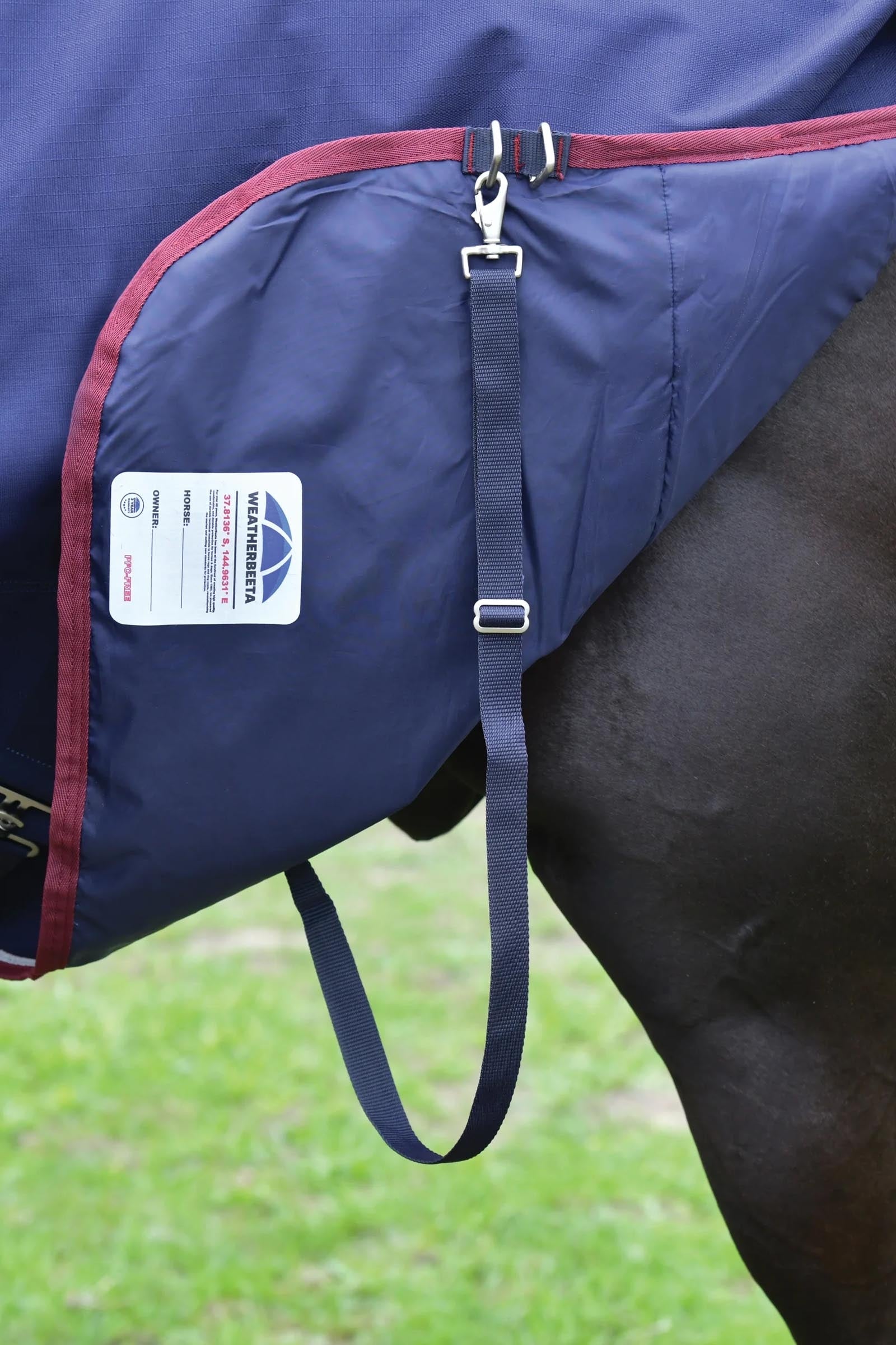Weatherbeeta ComFiTec Essential Turnout Standard Neck 50G Horse Rugs