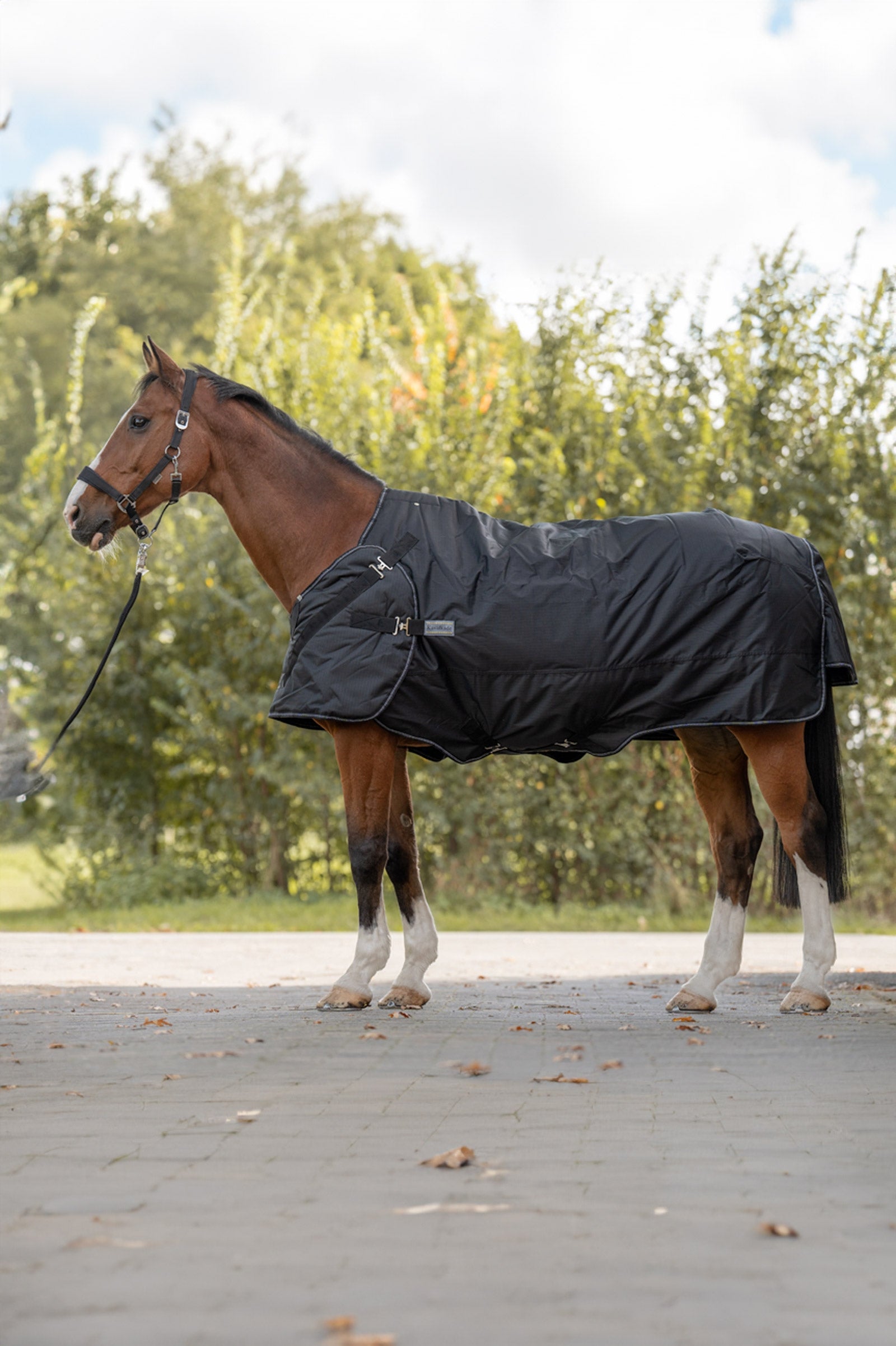 Kavalkade Halifax 2v1 Koberec pro venkovní použití a Koberec Walker 50g Horse Rugs