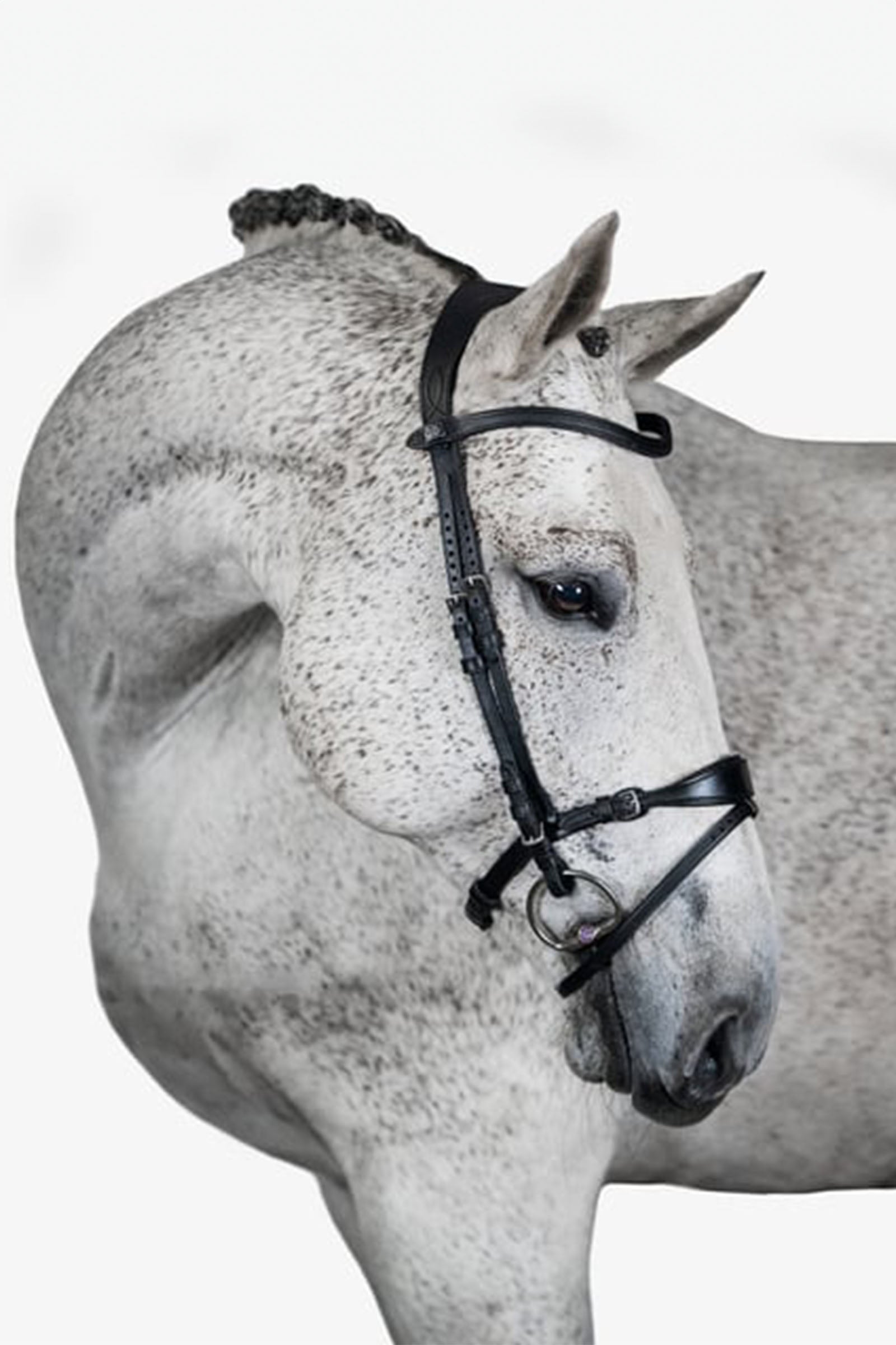 PS of Sweden Uzda, Mary Lou od Henrik von Eckermann Bridles & Reins