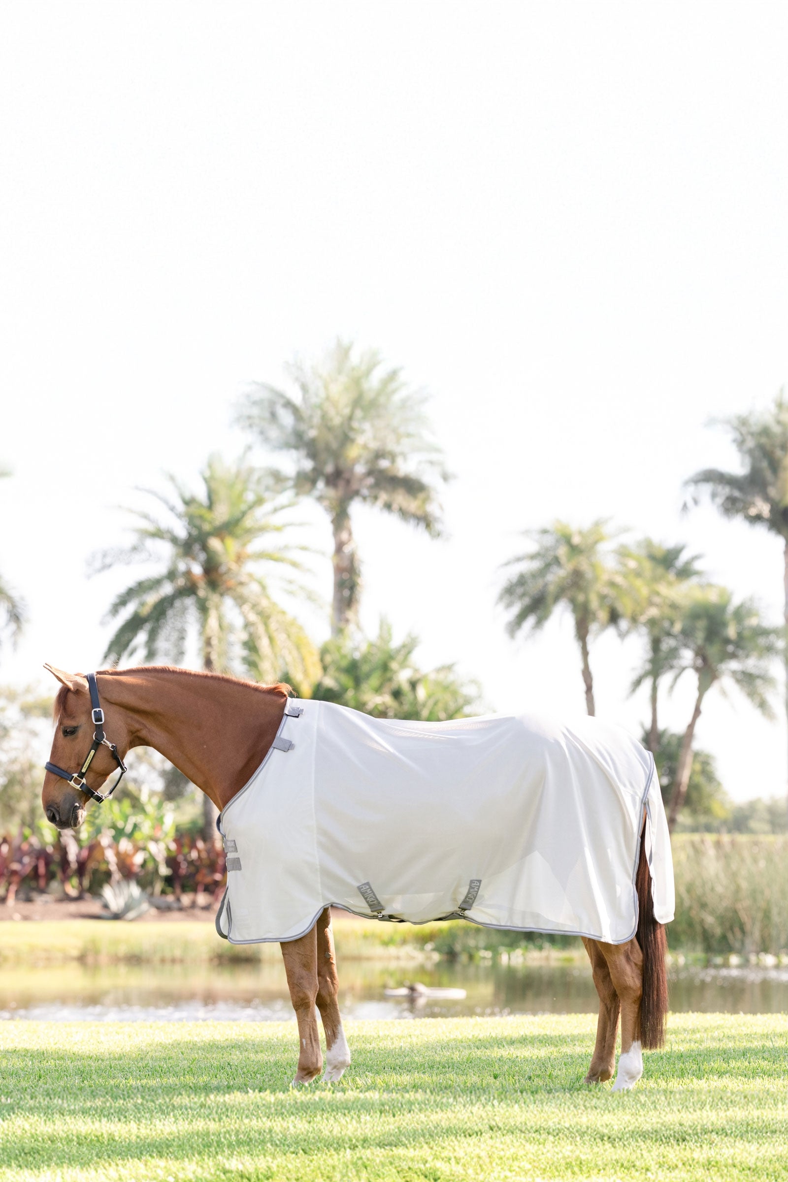 Horseware Amigo Bug Rug s UV ochranou Horse Rugs