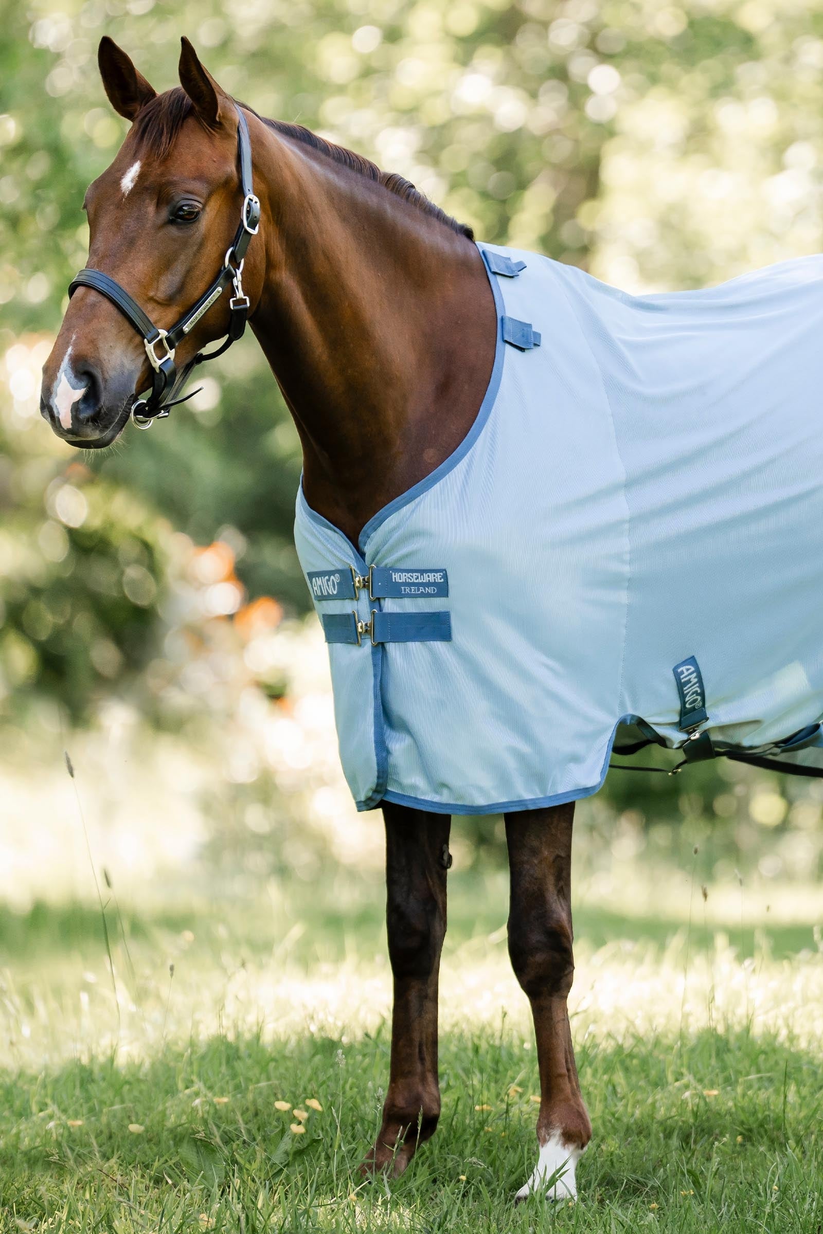 Horseware Amigo Bug Rug s UV ochranou Horse Rugs