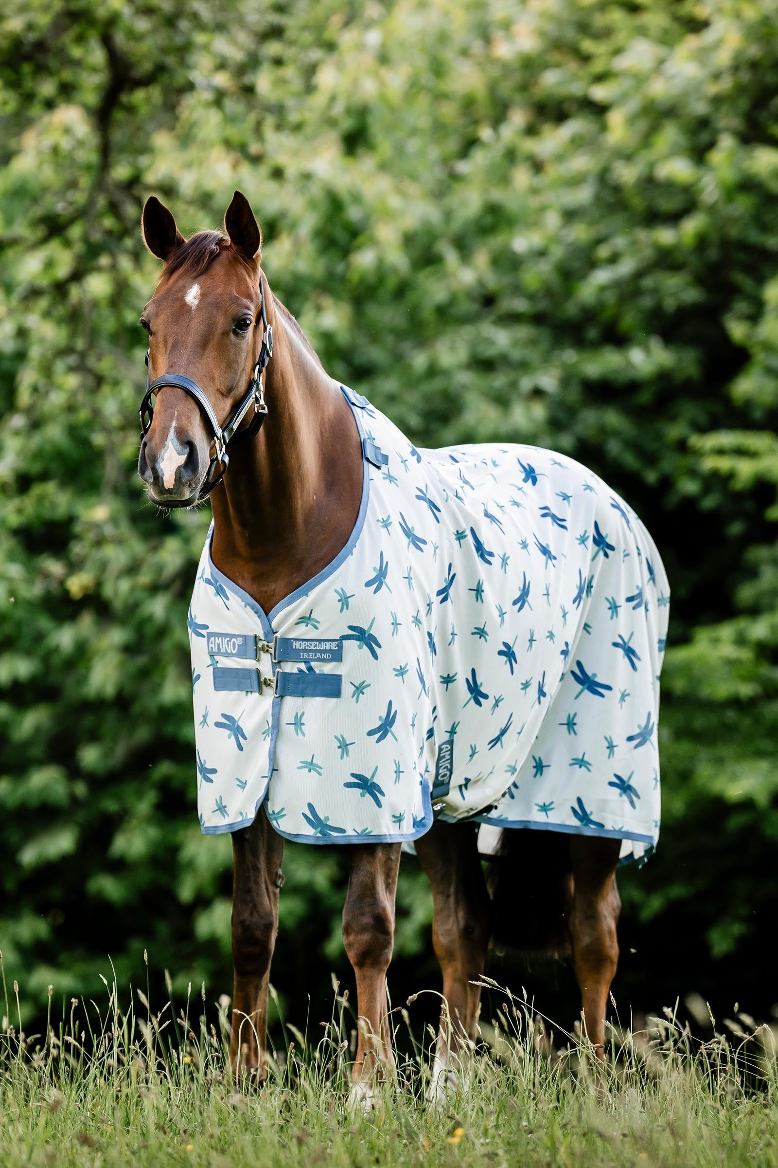 Horseware Amigo Bug Rug s UV ochranou Horse Rugs