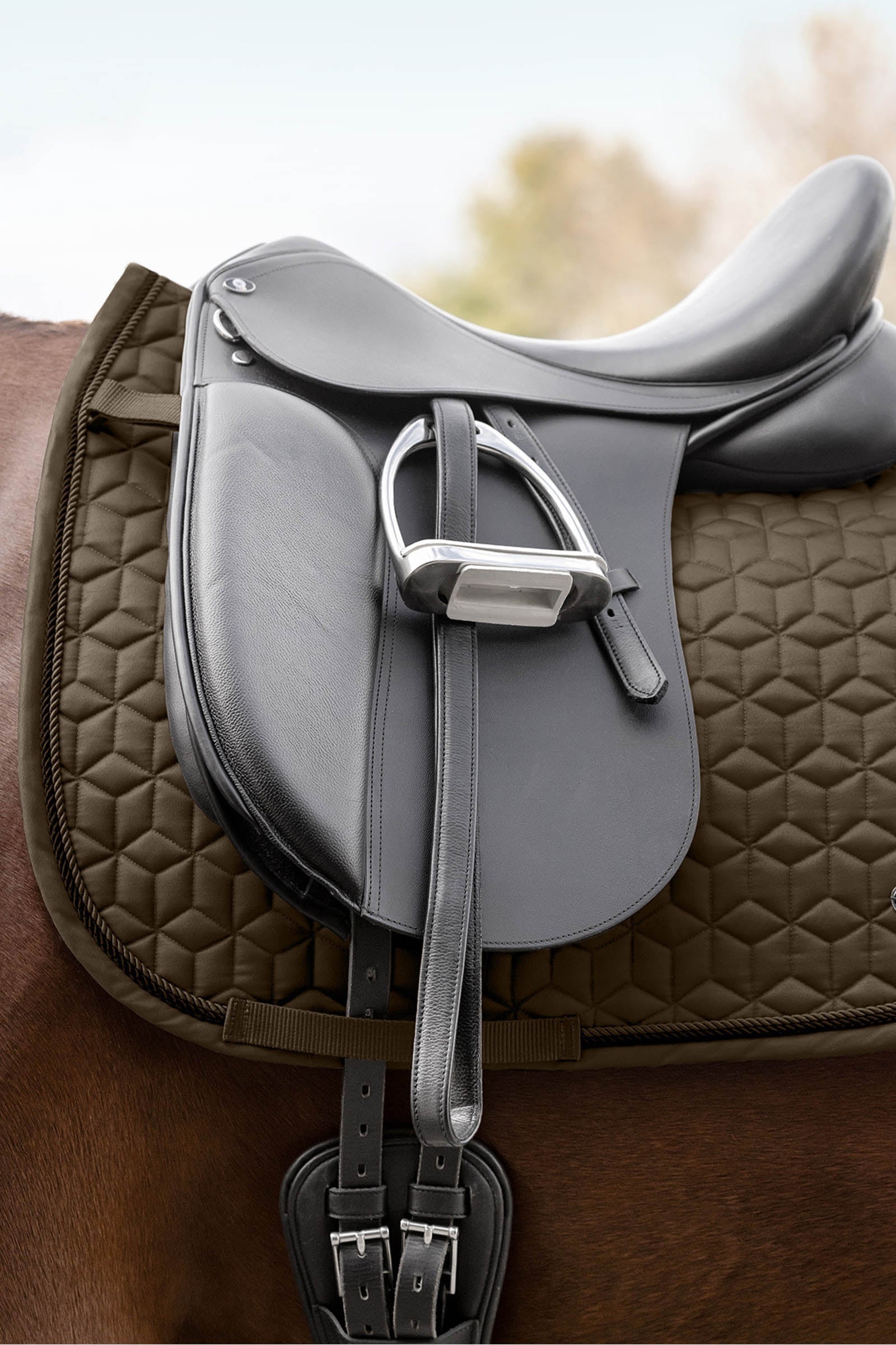 Waldhausen Philadelphia Dressage Saddle Pad Saddle Pads