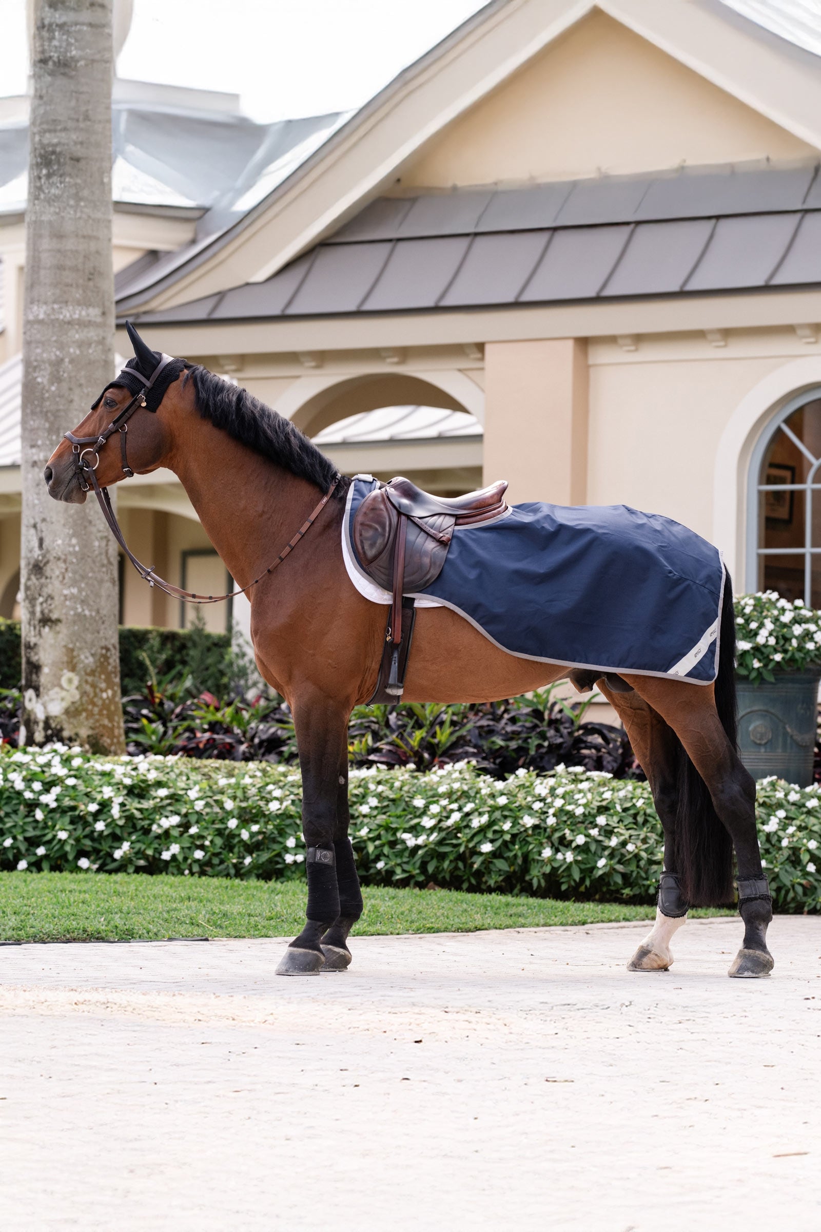 Horseware Amigo Ripstop pracovní deka Horse Rugs
