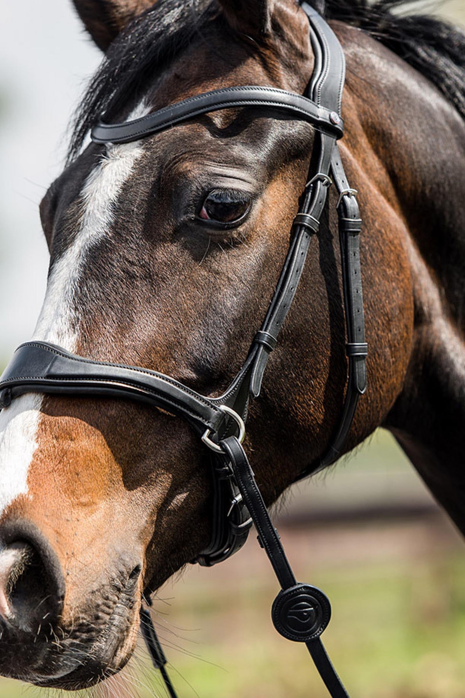 Trust Equestrian Falsterbo T-motion Bridle Bridles & Reins