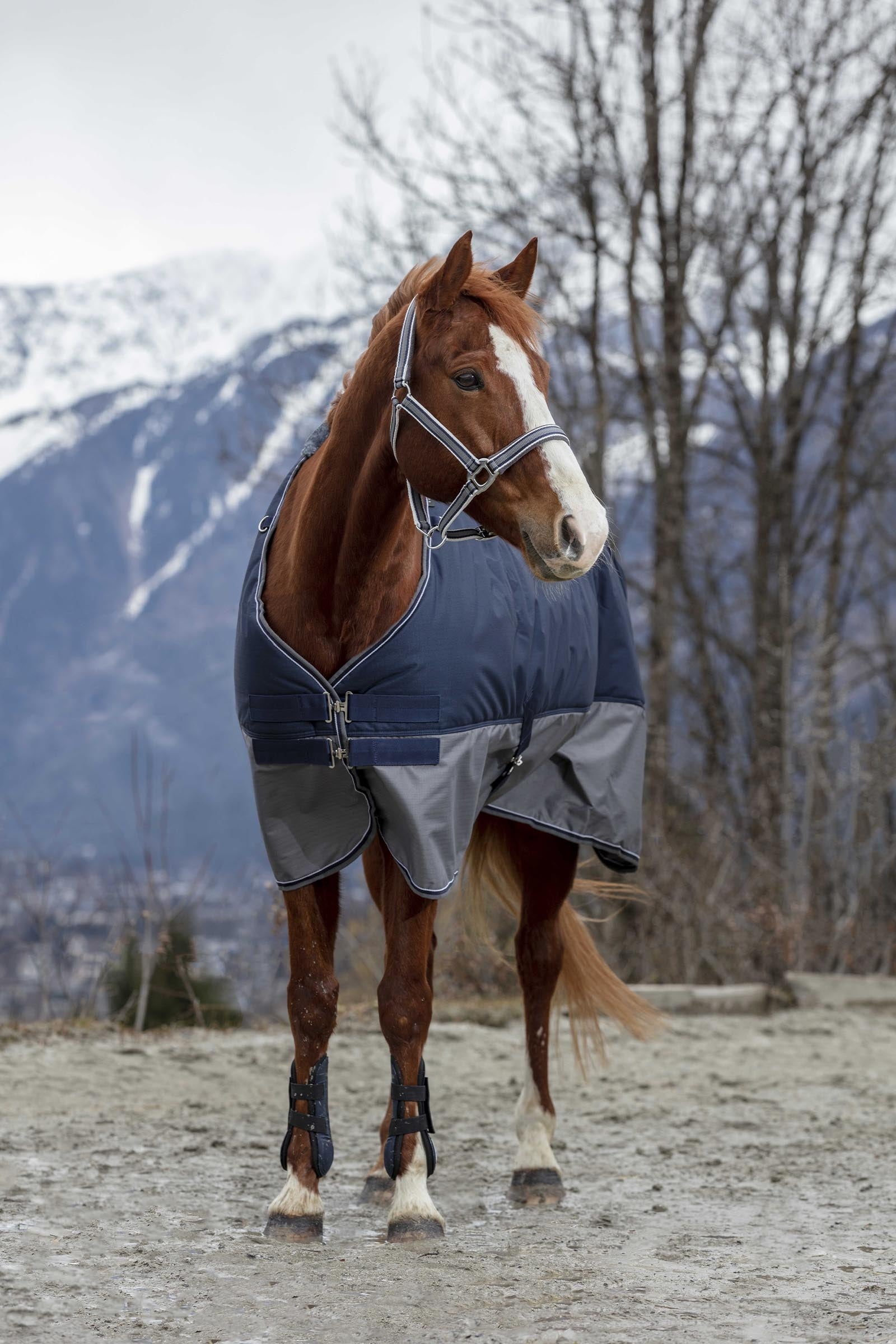 Equi Theme EQUITHÈME TYREX 600D Turnout Rug, 450 g Horse Rugs