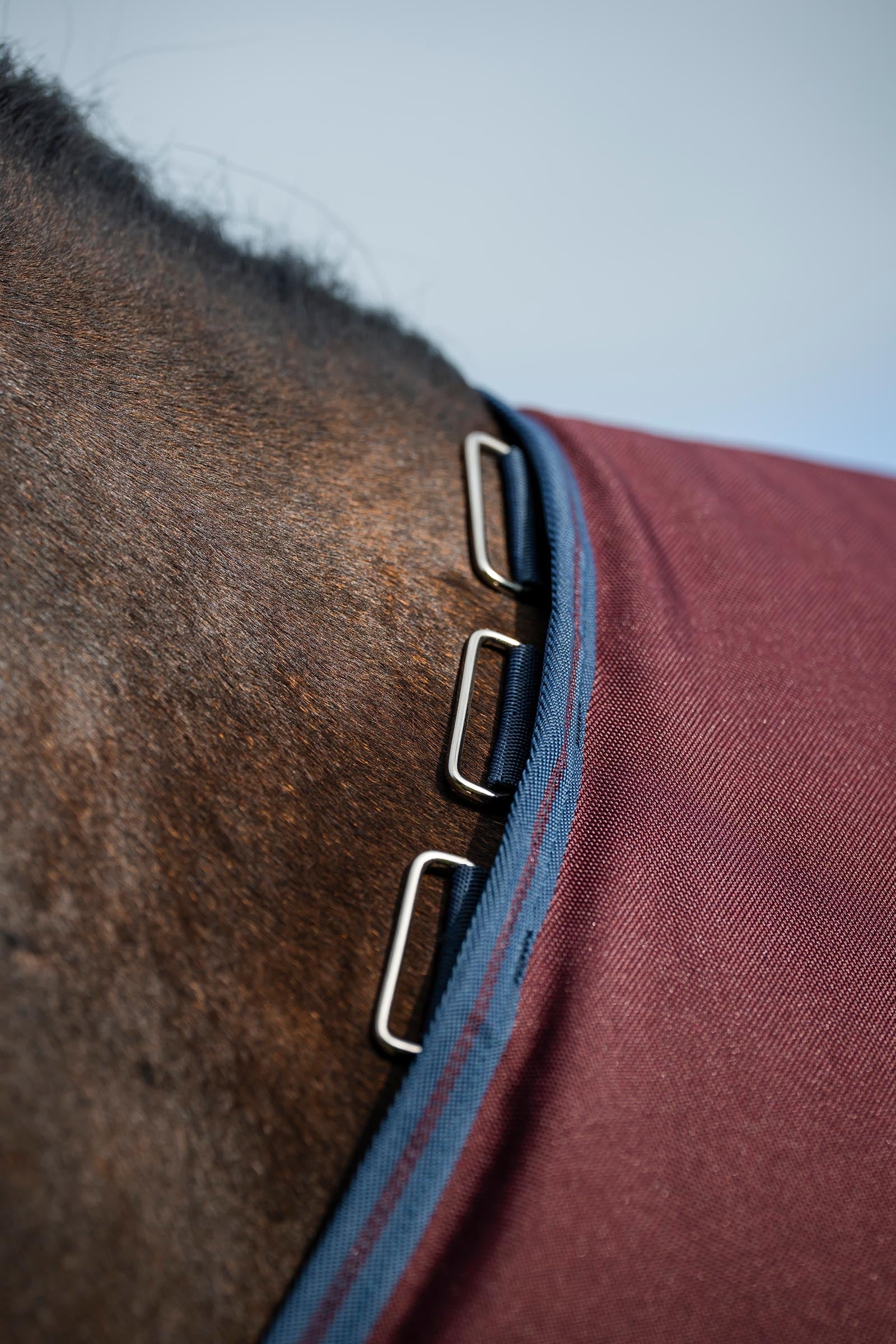 Horseware Amigo Bravo 12 Plus Turnout Rug, 250 g Horse Rugs