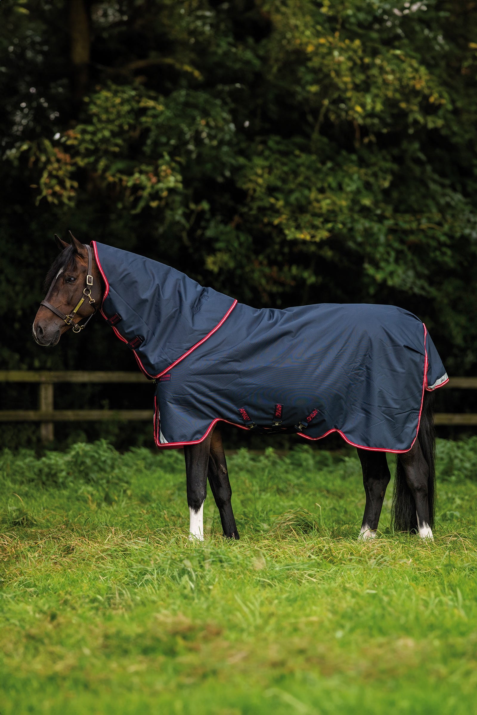 Horseware Amigo Bravo 12 Plus výběhová deka, 250 g Horse Rugs