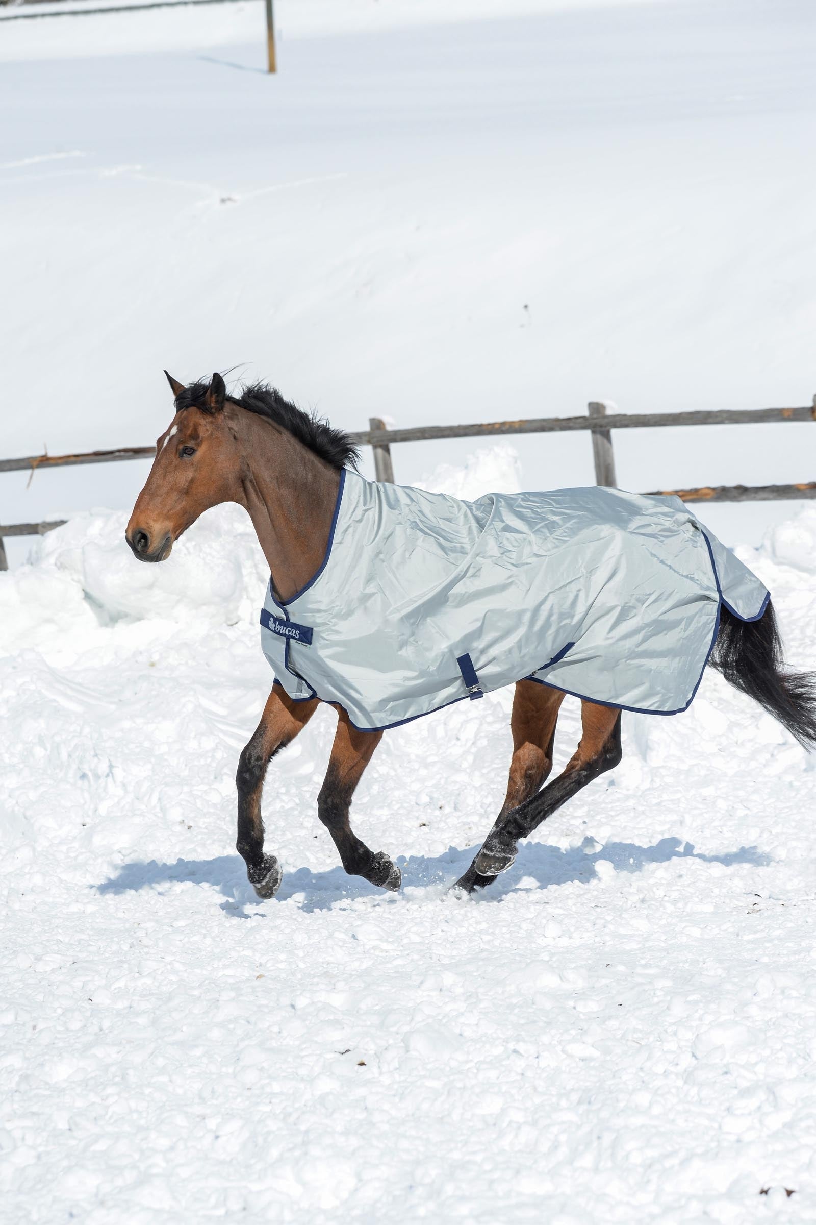 Bucas Power Turnout Extra High Neck, 300g Horse Rugs