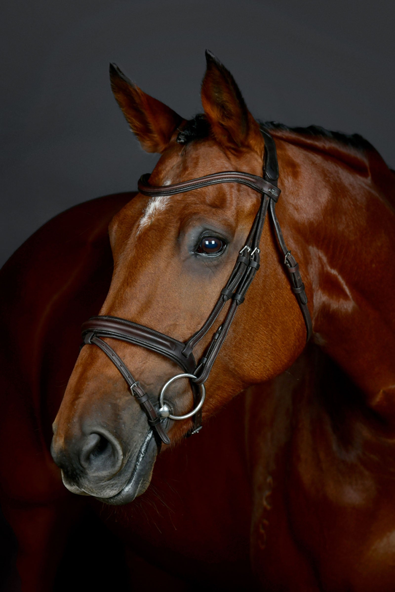 Collegiate Comfitec Opulux jednoduchá podložená uzdečka s kombinovaným hannoverským nánosníkem Bridles & Reins
