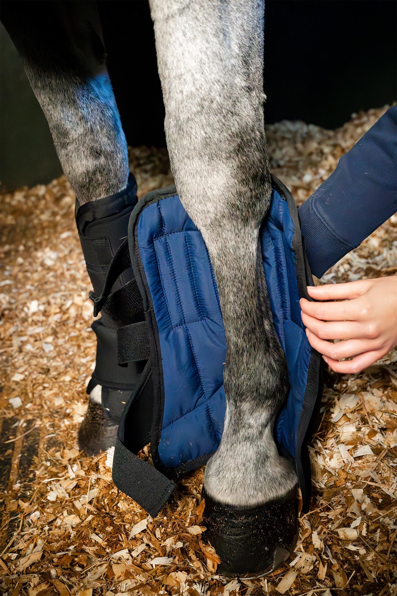 Horseware stájová bota Ionic liner Leg & Hoof Protection