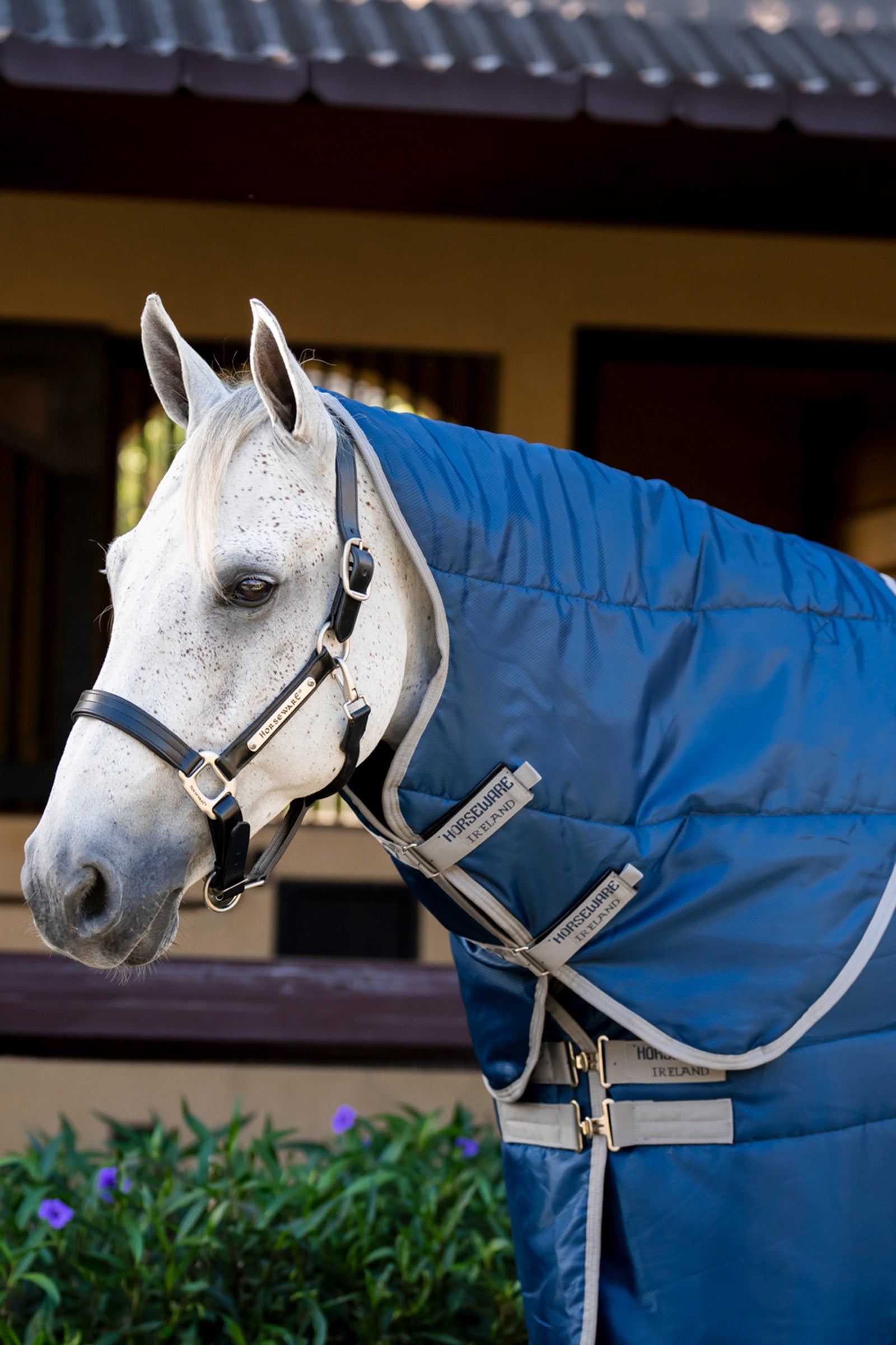 Horseware Amigo Ripstop Insulator krytí na hlavu do stáje, 100 g Horse Rugs