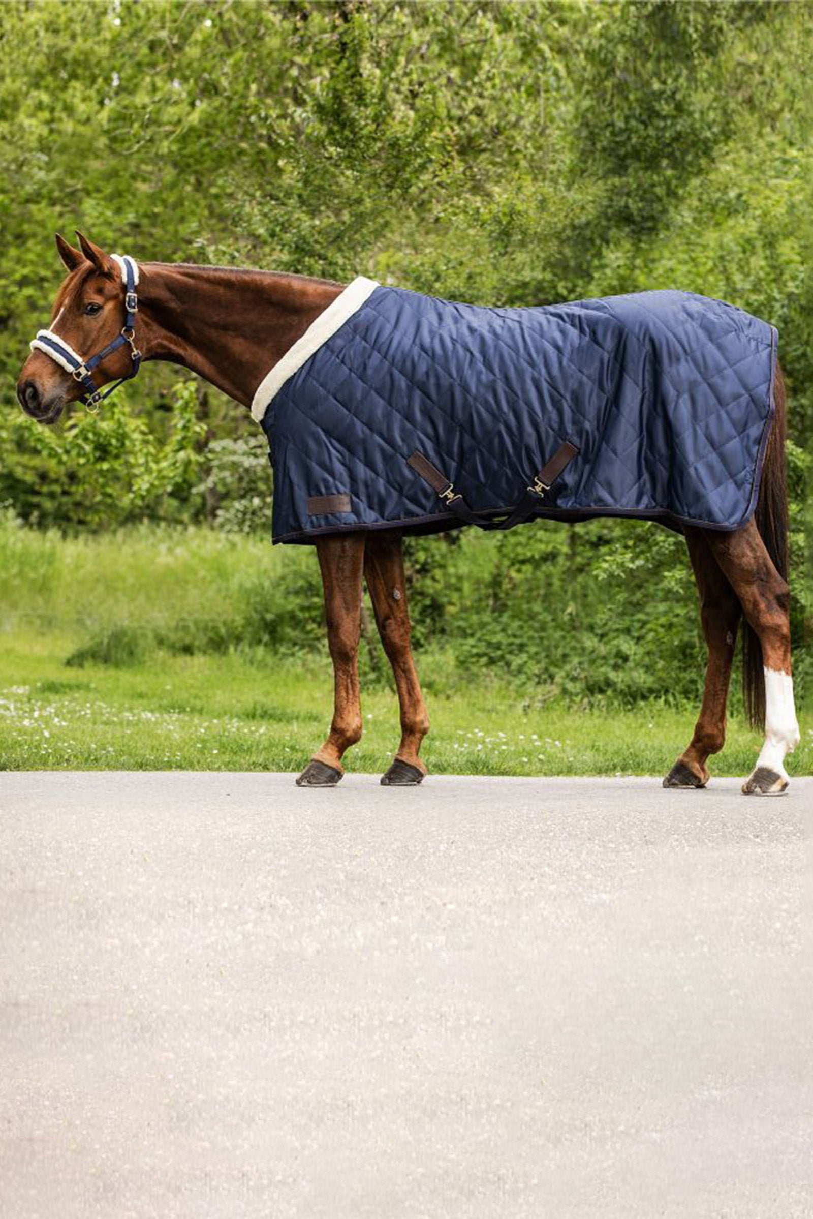 Waldhausen Exclusive Cestovní prostěradlo, 50g Horse Rugs