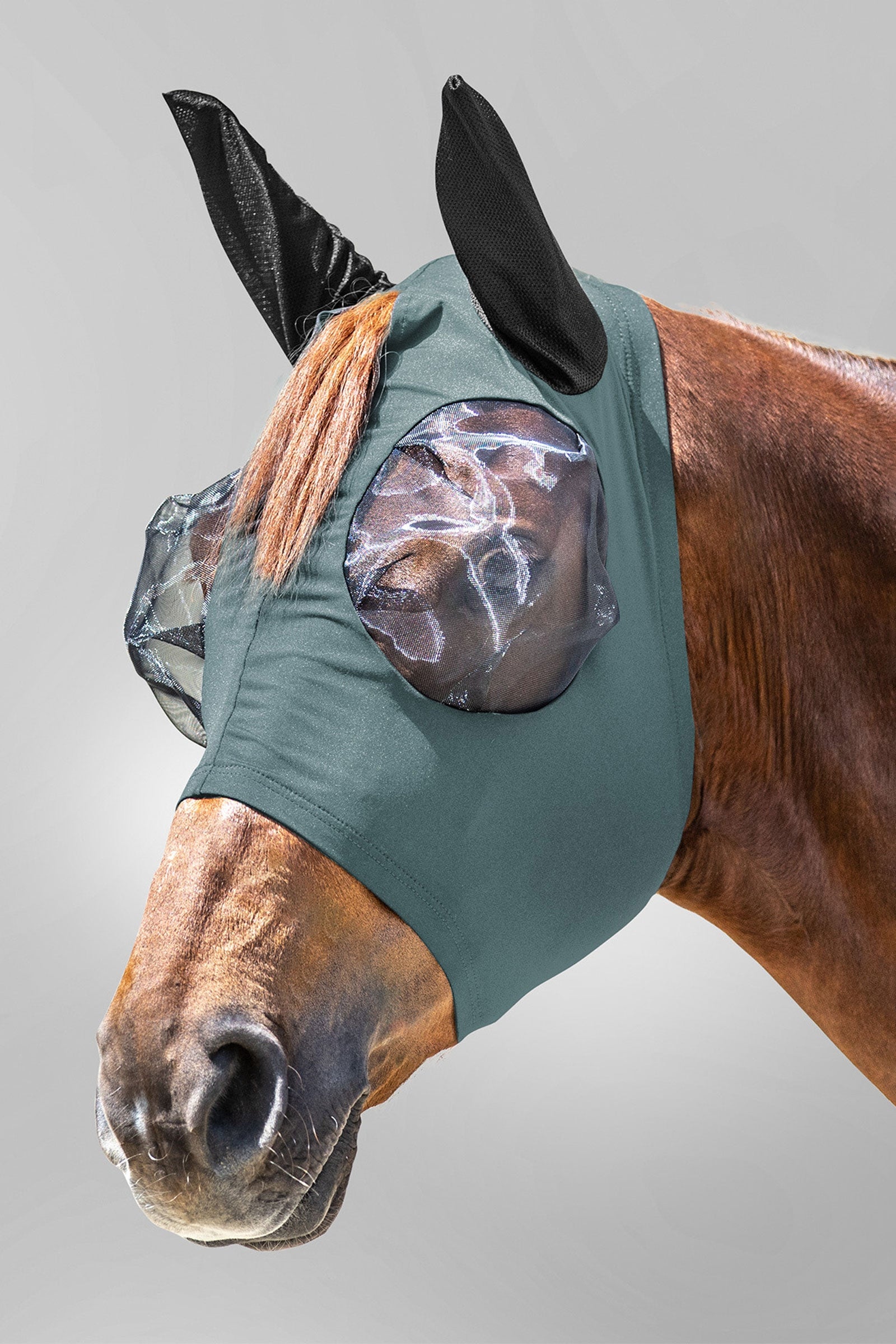 Waldhausen Puck maska proti hmyzu se zipem a UV ochranou Antifly Protection for Horses