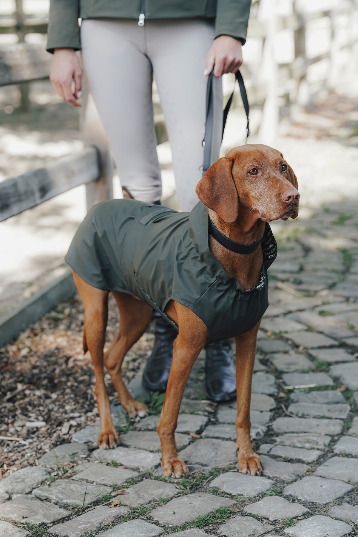Eskadron Hunter x ESKADRON SPARK ADJUST Dog Leash Dog Accesories