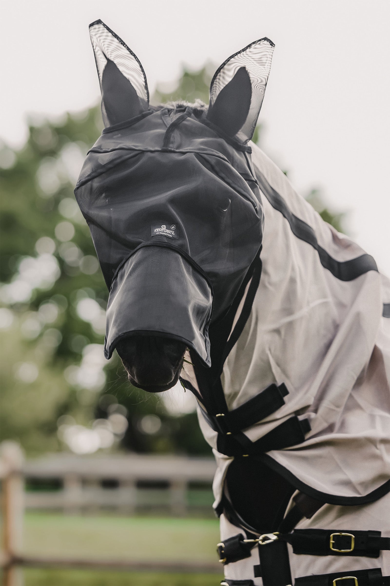 Kentucky Horsewear Klasická maska proti hmyzu s ušima a nosem Antifly Protection for Horses