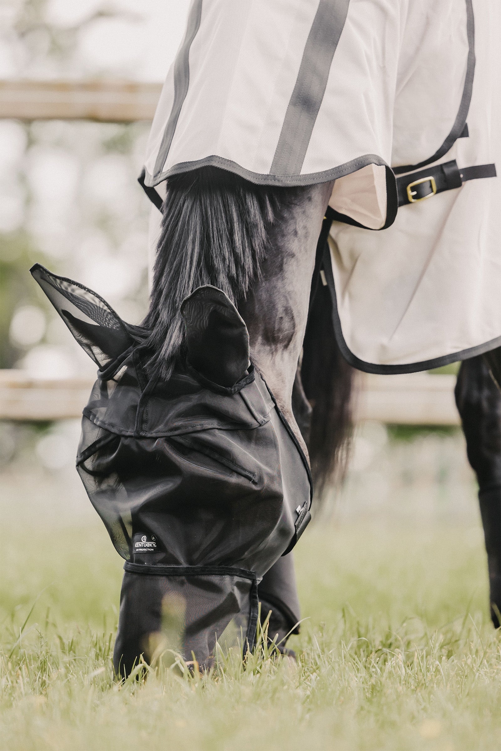 Kentucky Horsewear Fly Mask Classic with Ears and Nose Antifly Protection for Horses